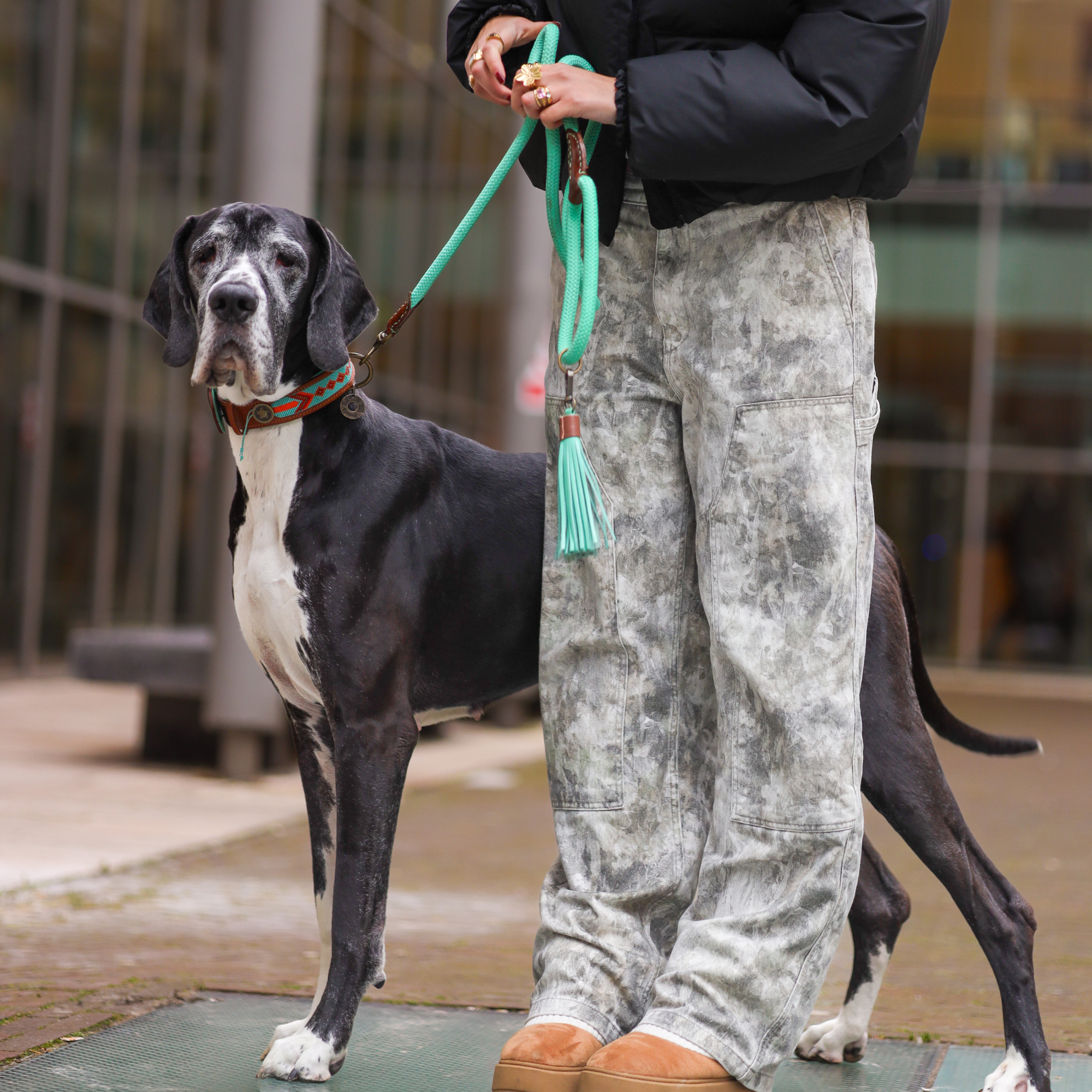 Beads Paddy Lee Hundehalsband XXL (Halsumfang 55-65 cm / 4 cm)