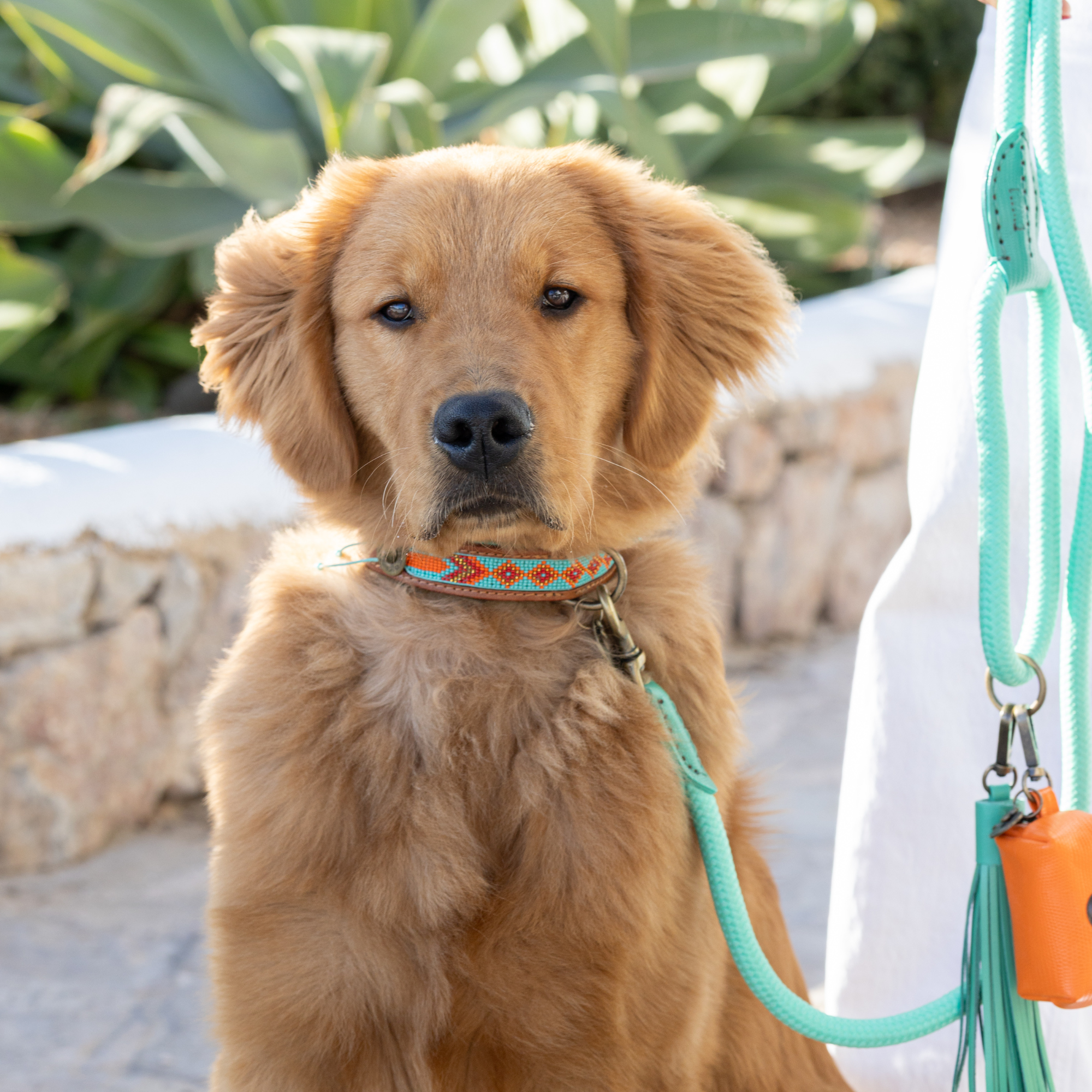 Beads Paddy Lee Dog Collar L (Neck Size 40-47 cm / 2,5 cm)