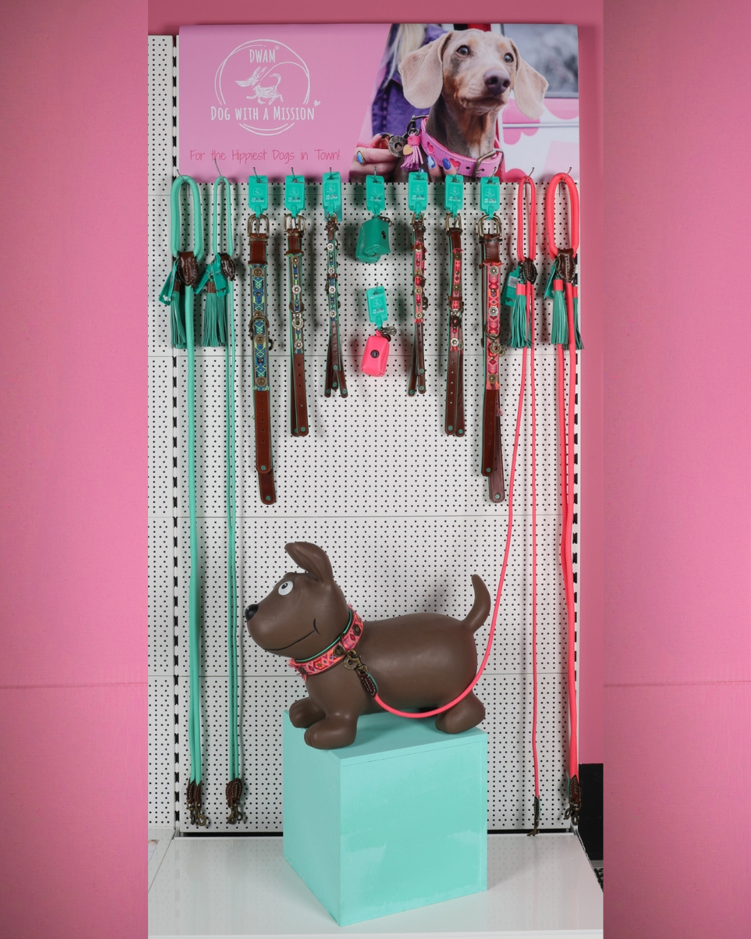 1 - The Essential DWAM Bundle