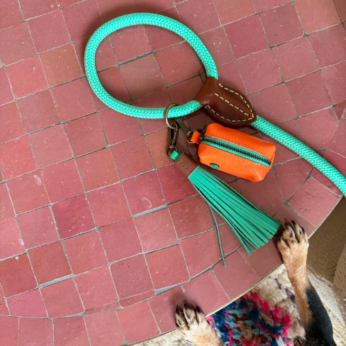 Poopbag Holder Buddy