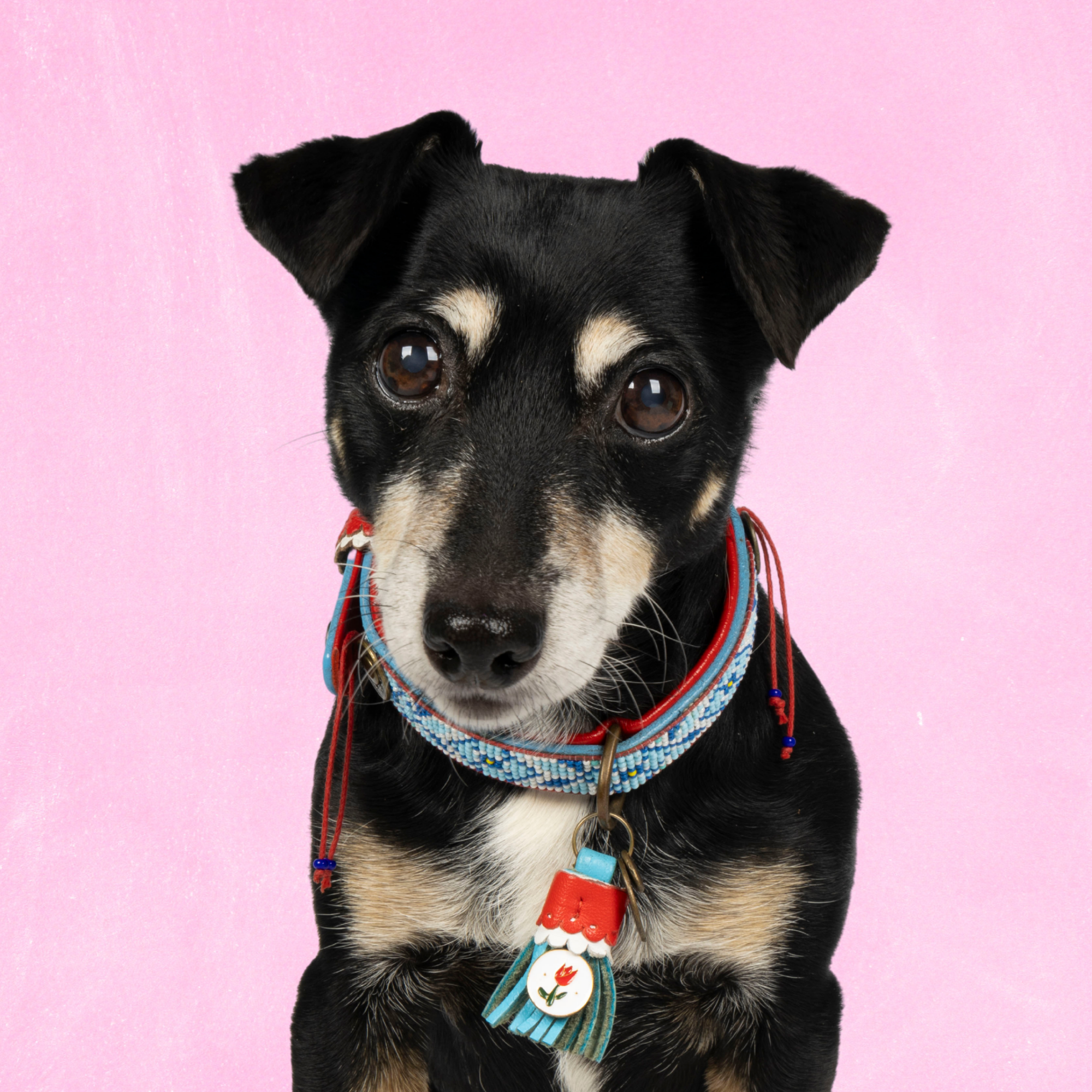 Dutchie Hondenhalsband S (Halsomvang 27-33 cm / 2 cm)