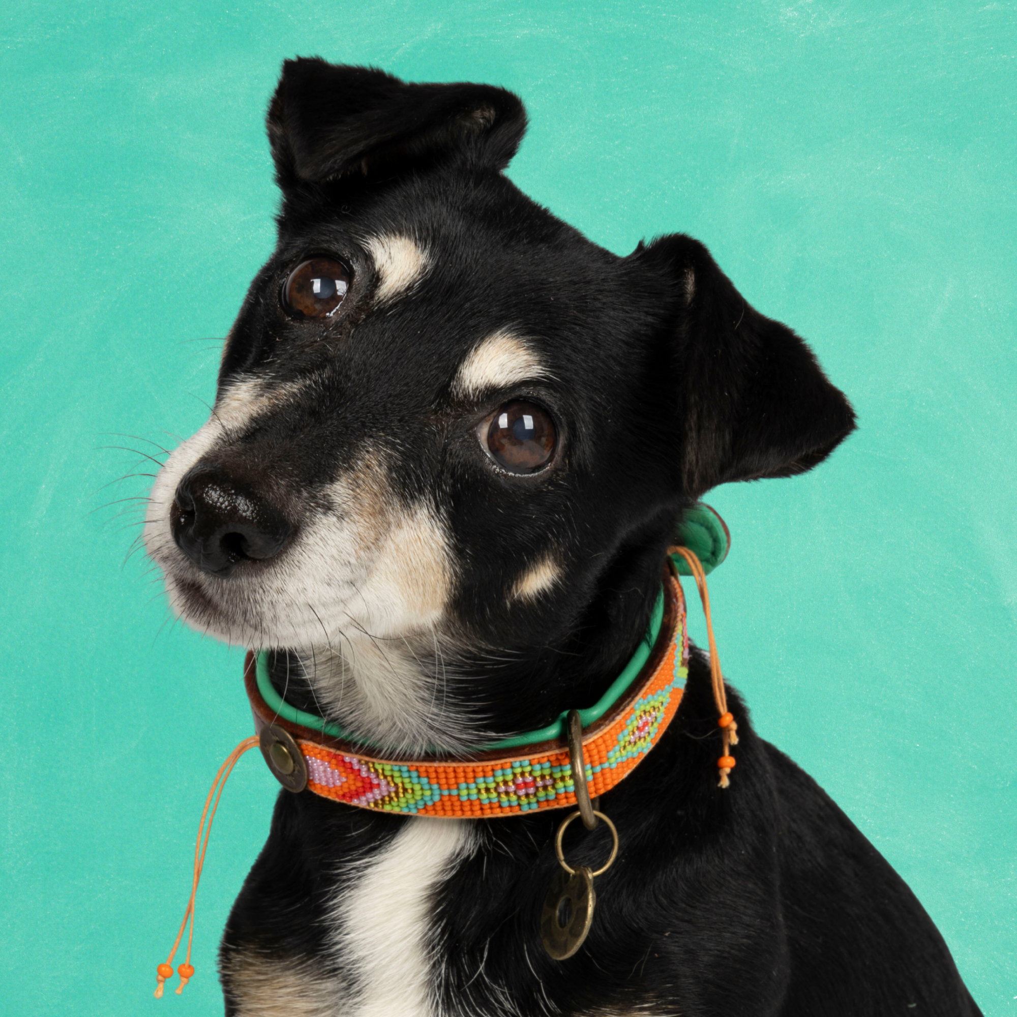 Beads Tiger Lily Hondenhalsband S (Halsomvang 27-33 cm / 2 cm)