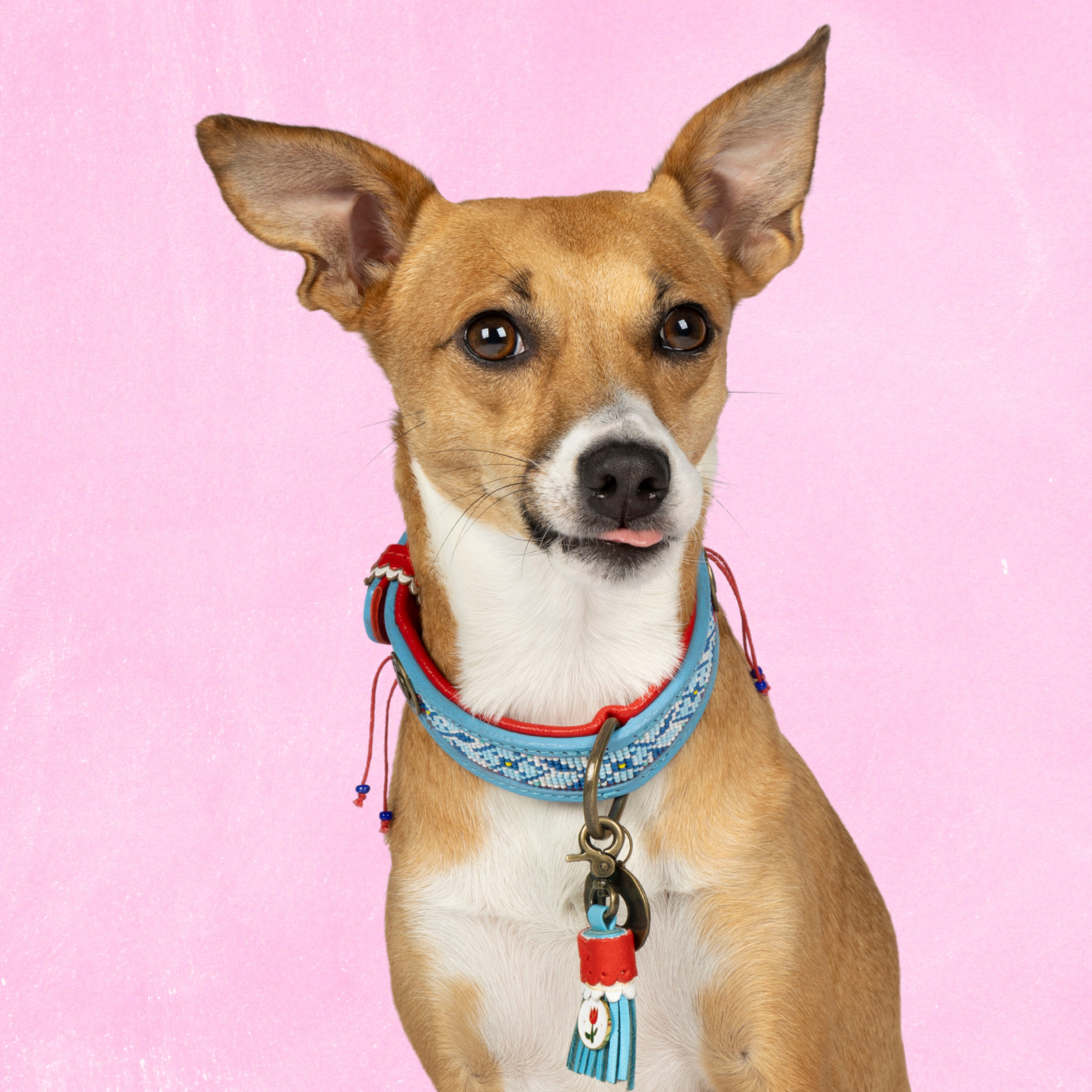 Dutchie Hondenhalsband S (Halsomvang 27-33 cm / 2,5 cm)