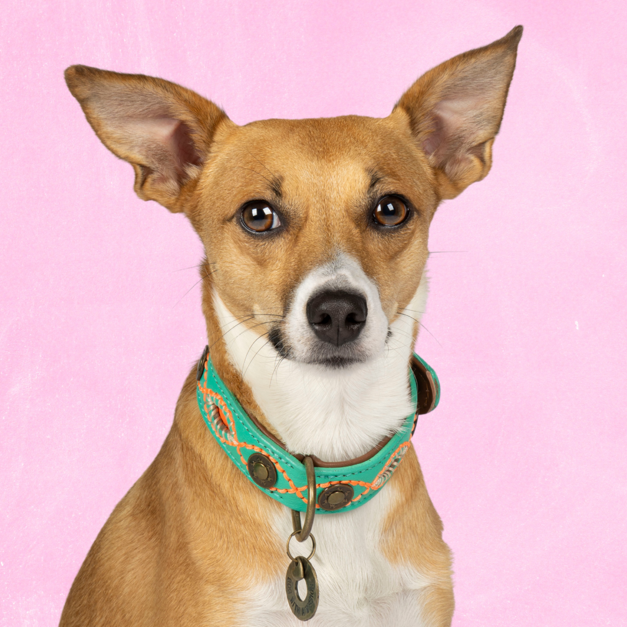 Urban Janis Hondenhalsband S (Halsomvang 27-33 cm / 2,5 cm)