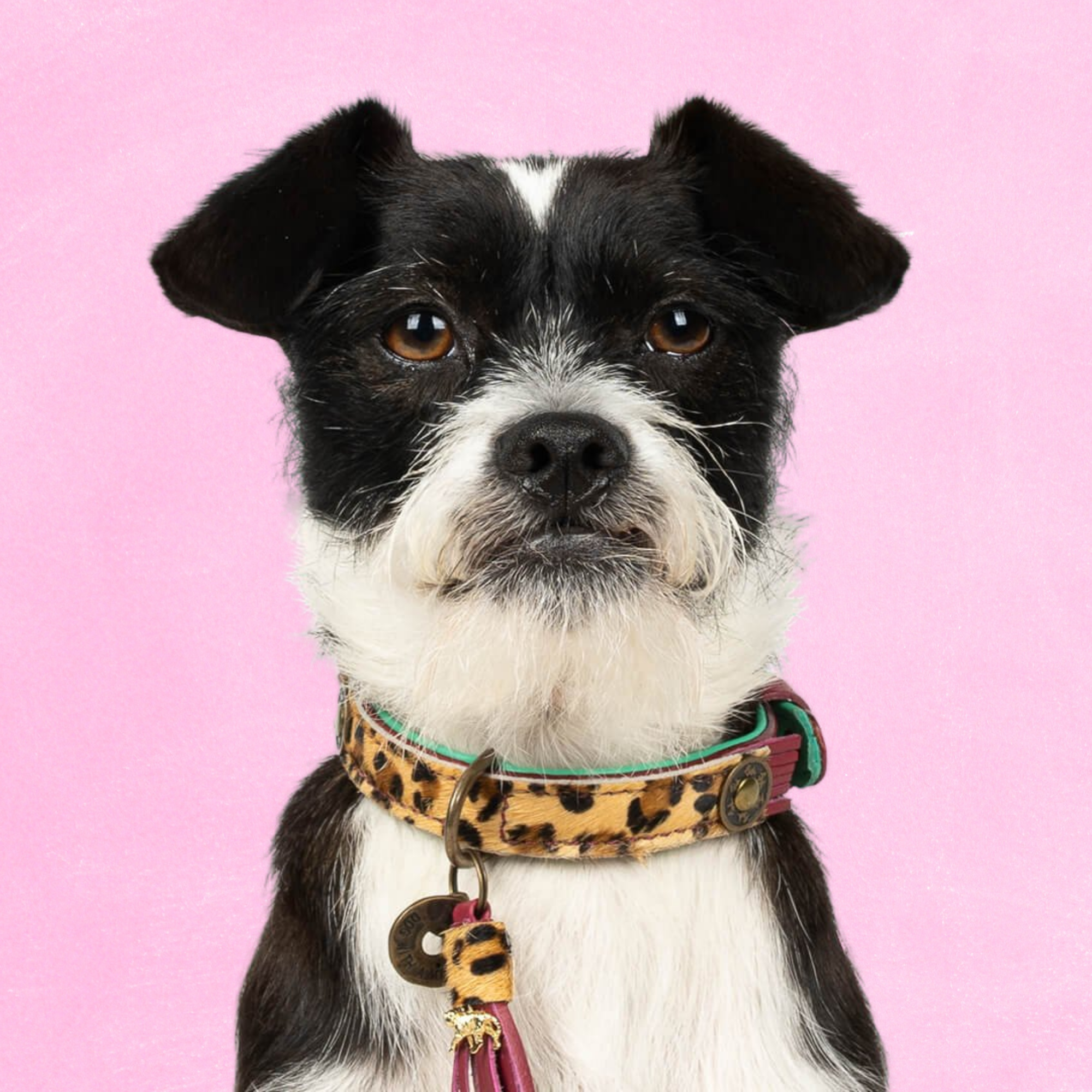 Lou Lou Hondenhalsband S (Halsomvang 27-33 cm / 2 cm)