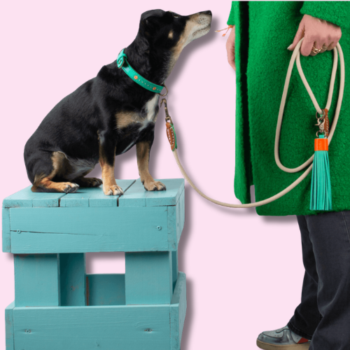 Beige hondenriem touw Sand maat S van Dog with a Mission