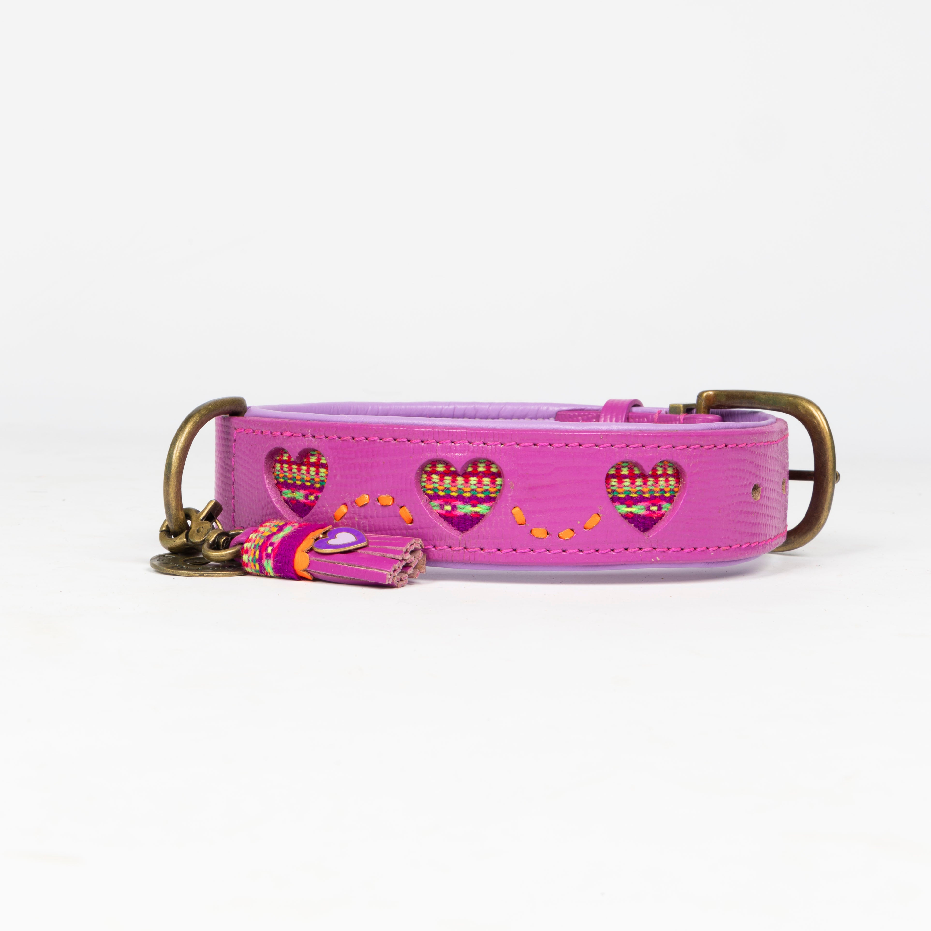 Spice Hundehalsband M (Halsumfang 32-39 cm / 2,5 cm)