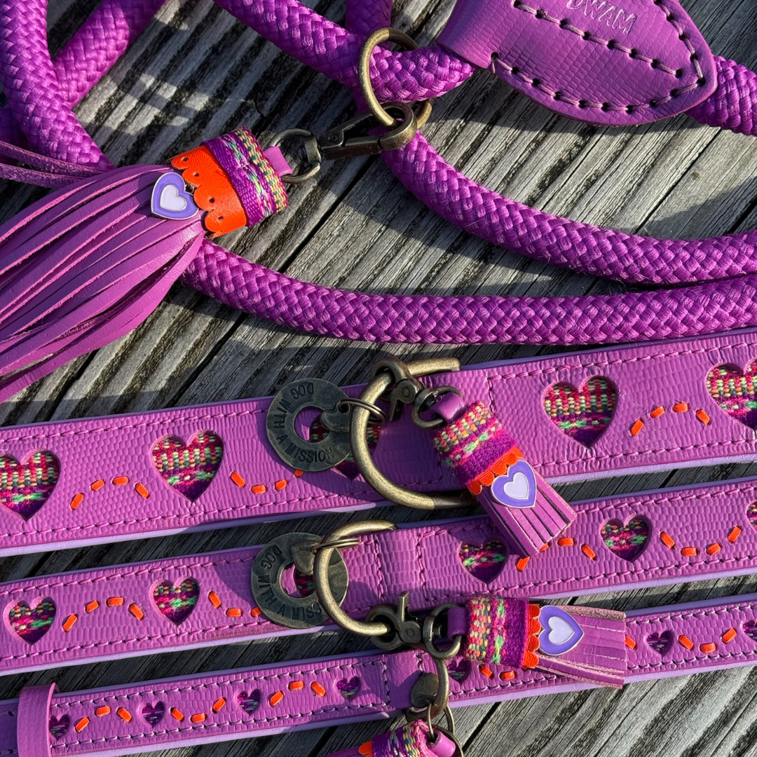 Spice Hundehalsband XXS (Halsumfang 19-24 cm / 2 cm)