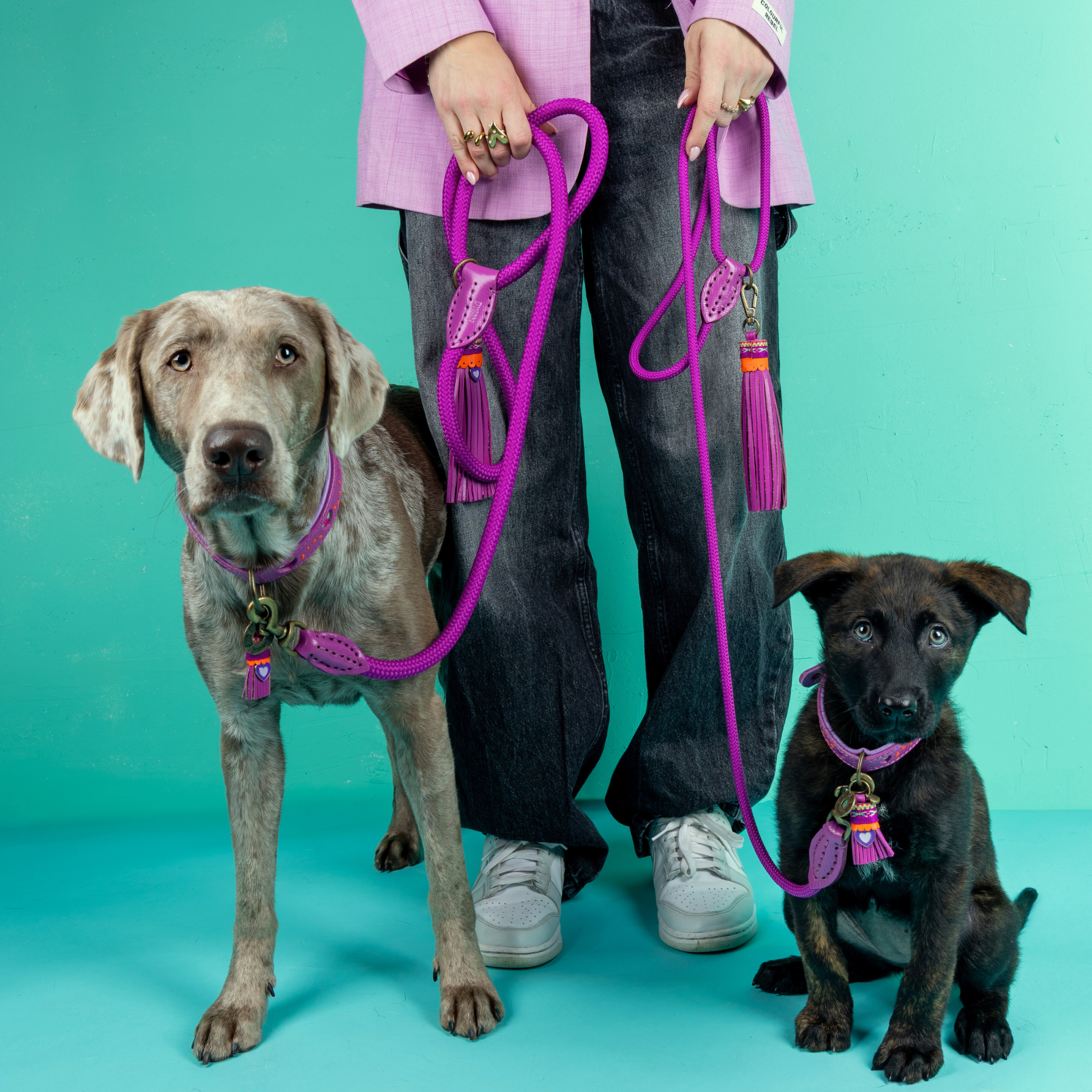 Classic Spice Hondenriem L (155 X 1,4 cm)