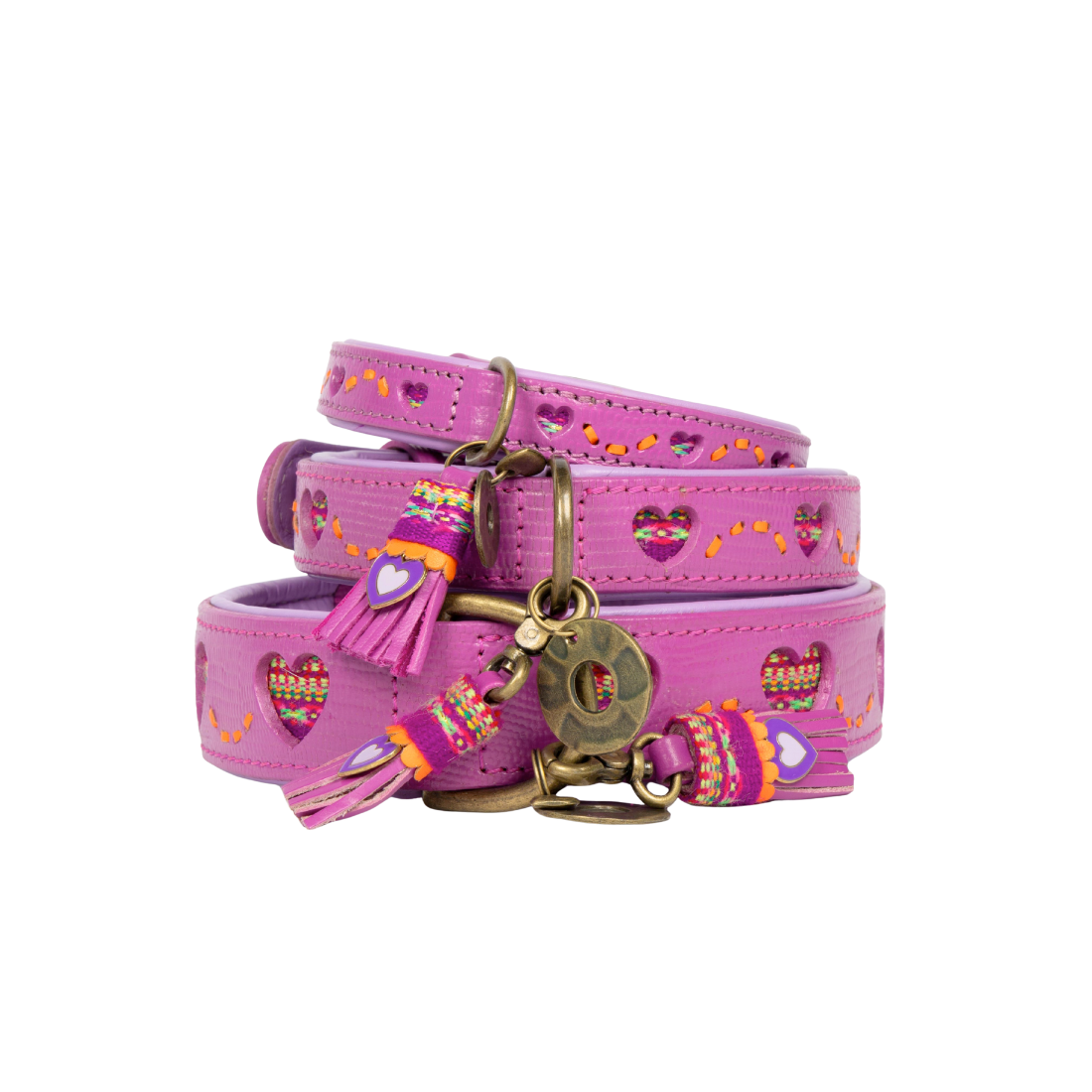 Spice Hundehalsband M (Halsumfang 32-39 cm / 2,5 cm)