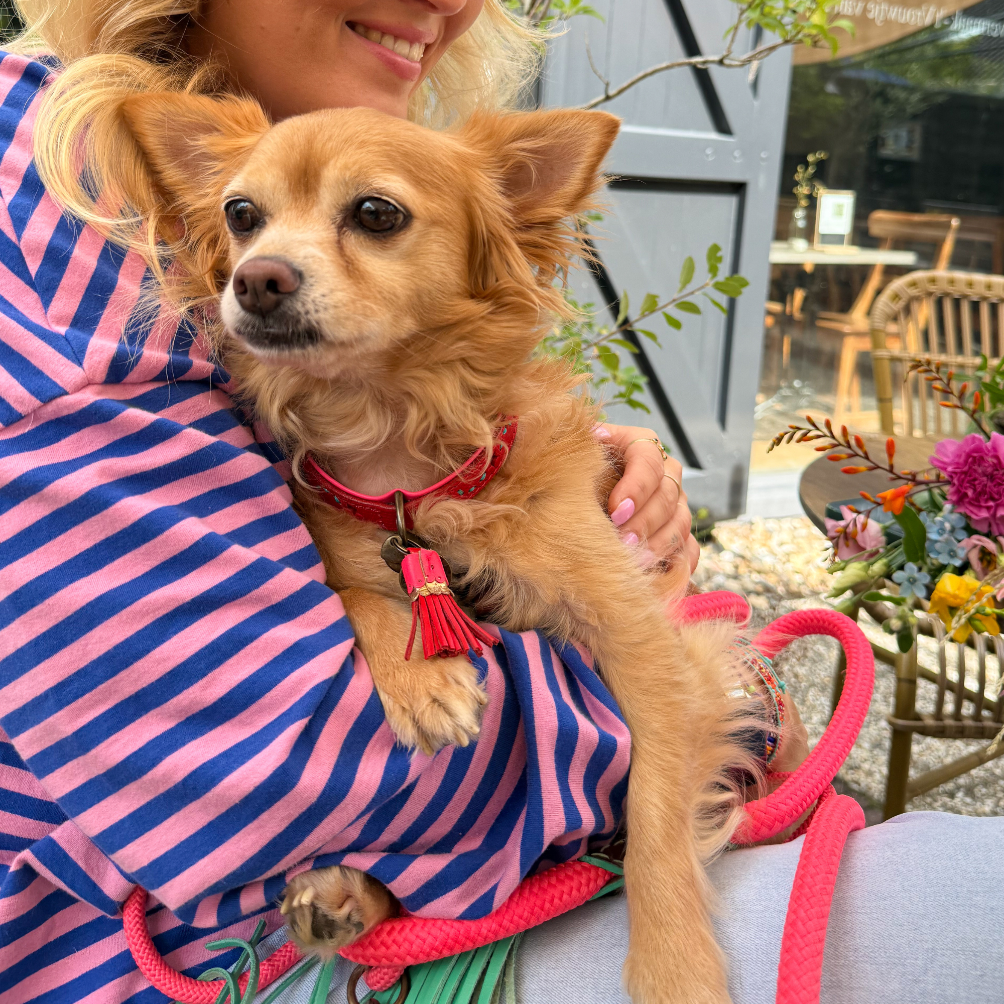 Classic Sugarbabe Hundeleine S (155 X 1 cm)