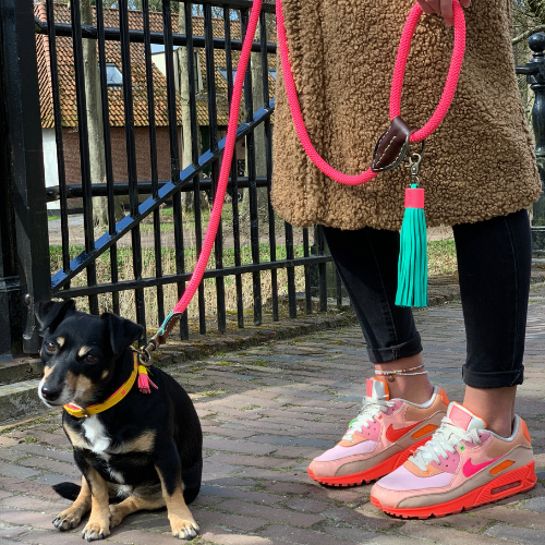 Knalroze hondenriem van Dog with a Mission gedragen door een Jack Rusell