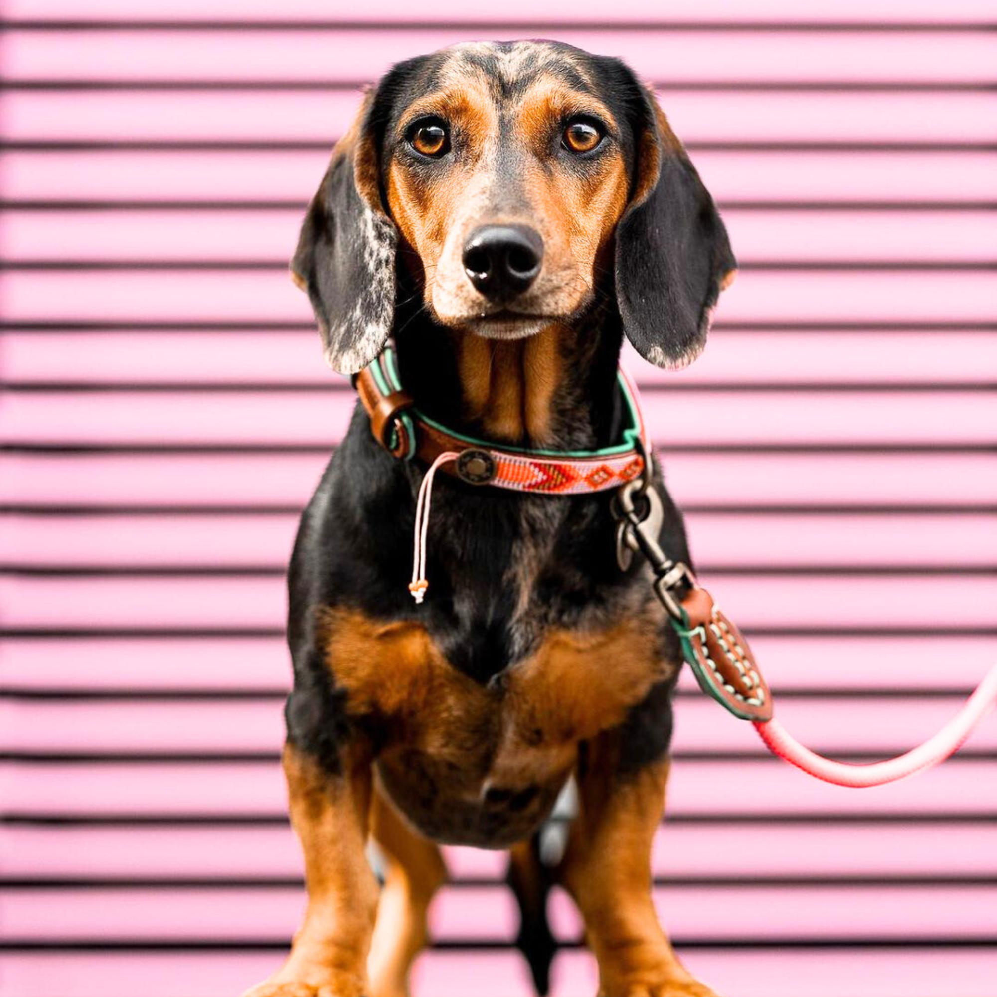 Beads Sweet Mae Hondenhalsband S (Halsomvang 30-33 cm / 2 cm)