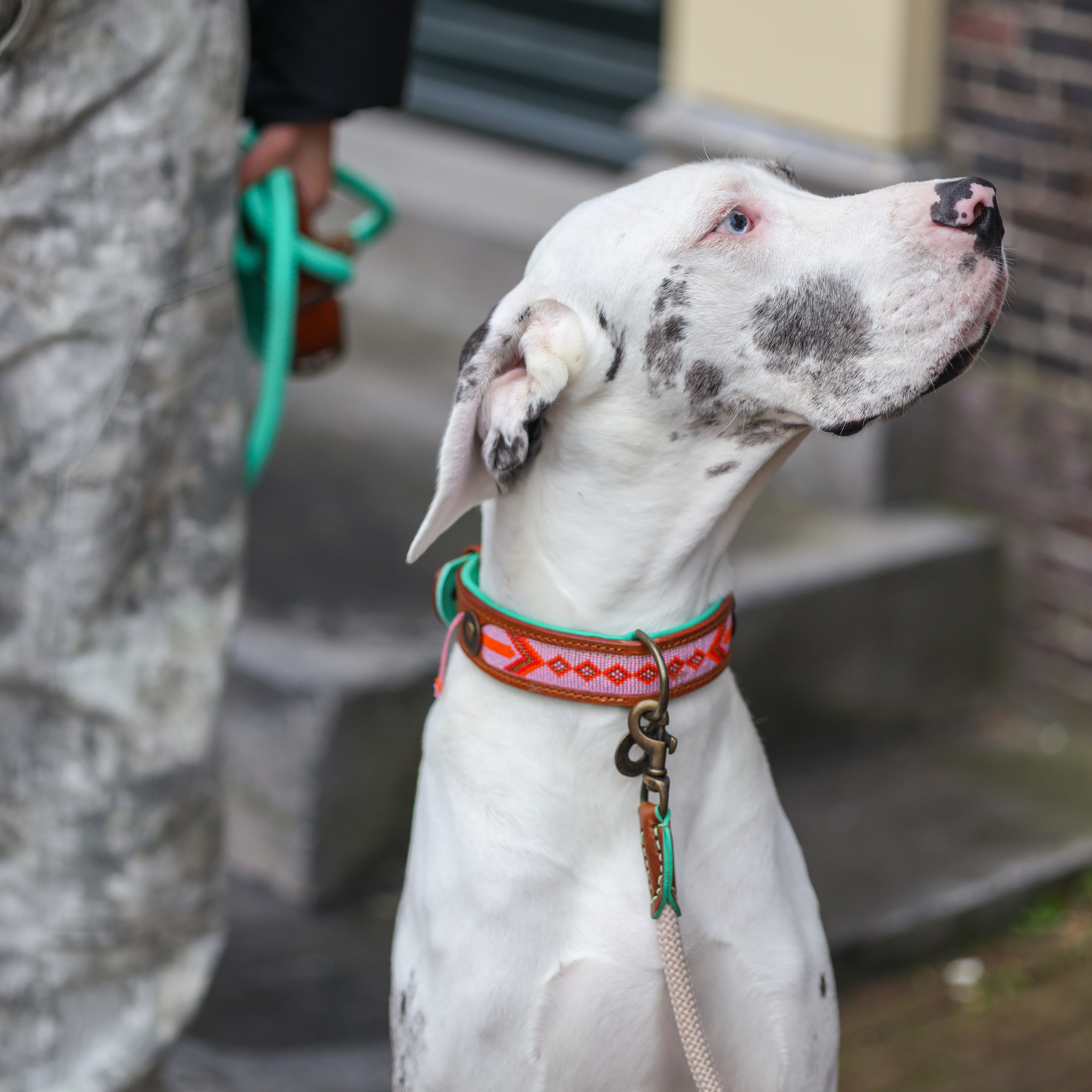 Beads Sweet Mae Hondenhalsband L (Halsomvang 40-47 cm / 4 cm)