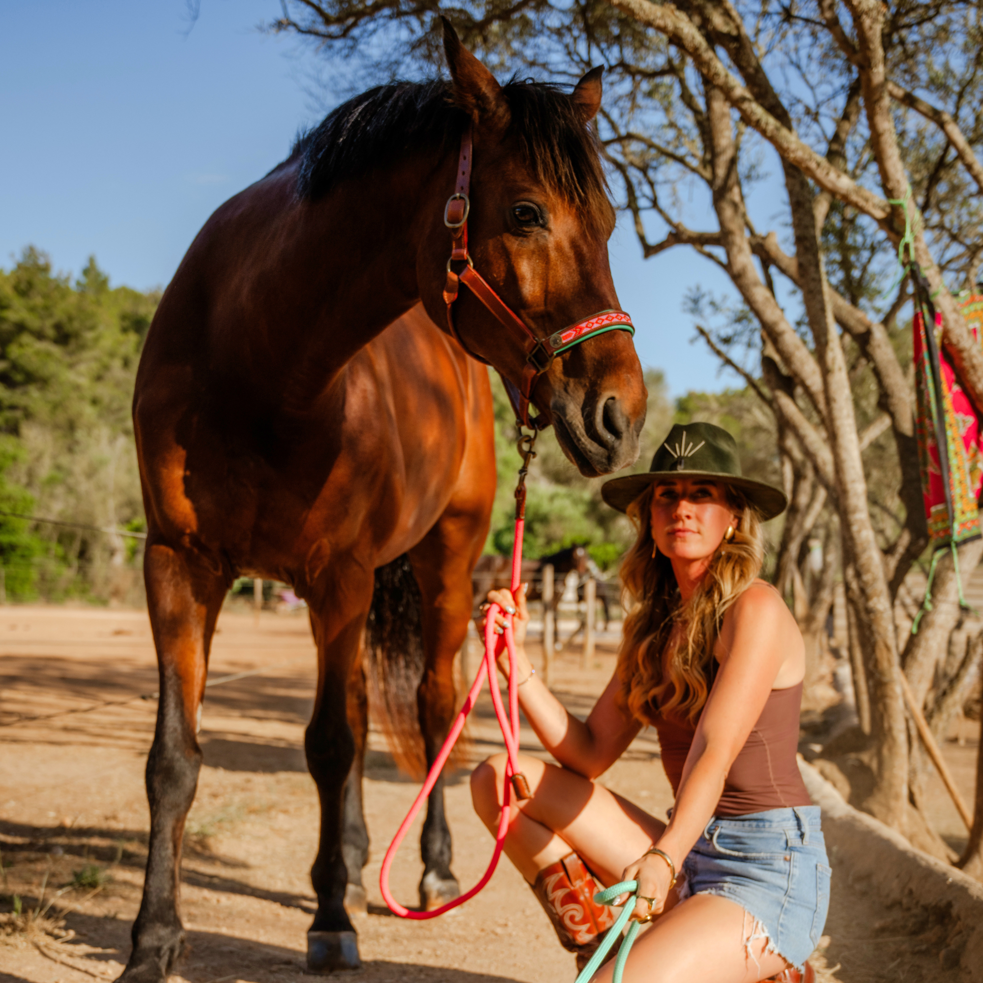 Sweet Mae Paardenhalster - Full