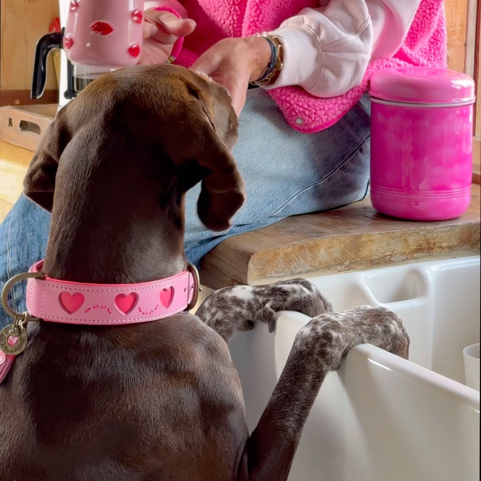 Sweety hondenhalsband collectie roze leer met hartjes - Dog with a Mission video
