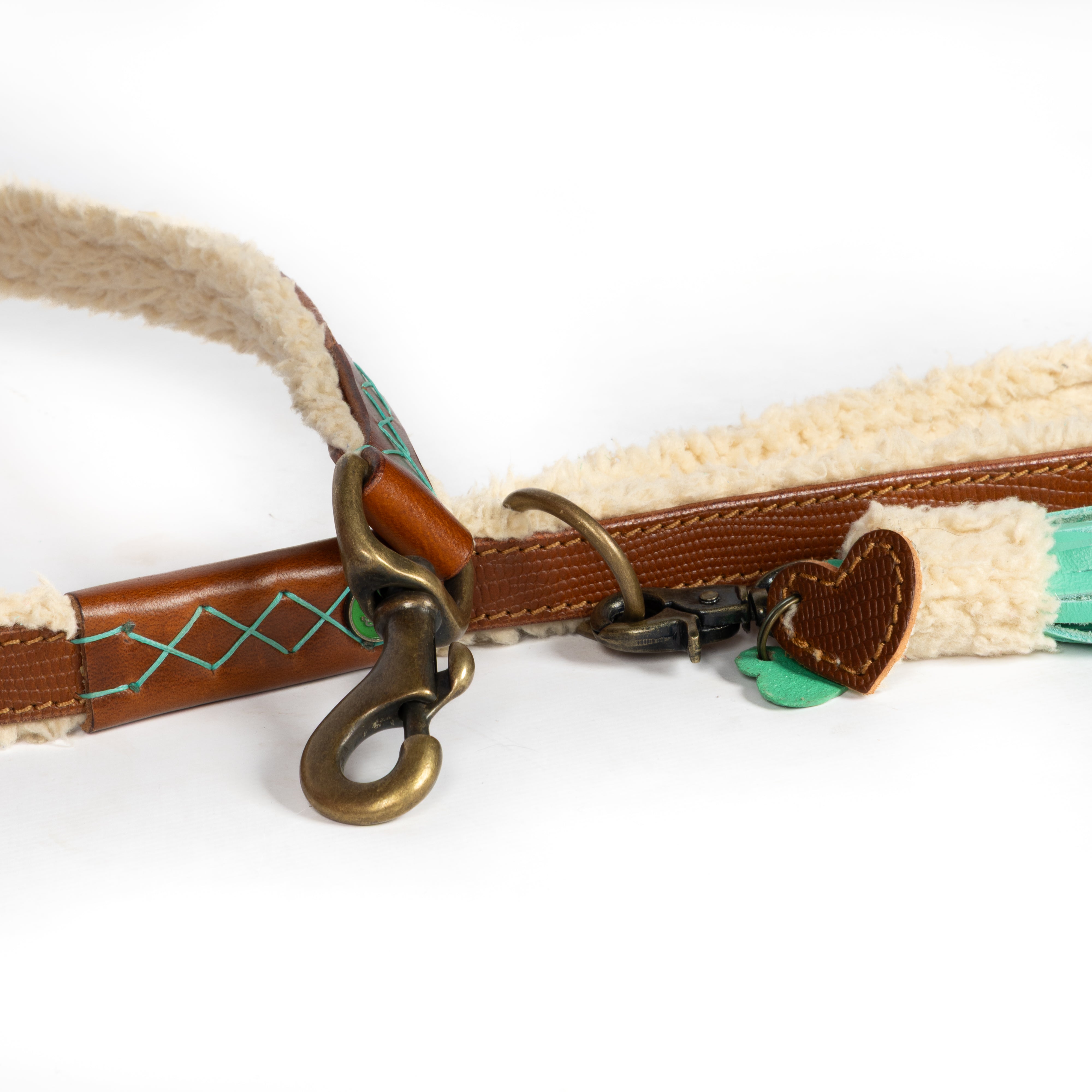 Teddy Hundeleine L (135 cm X 2,5 cm)