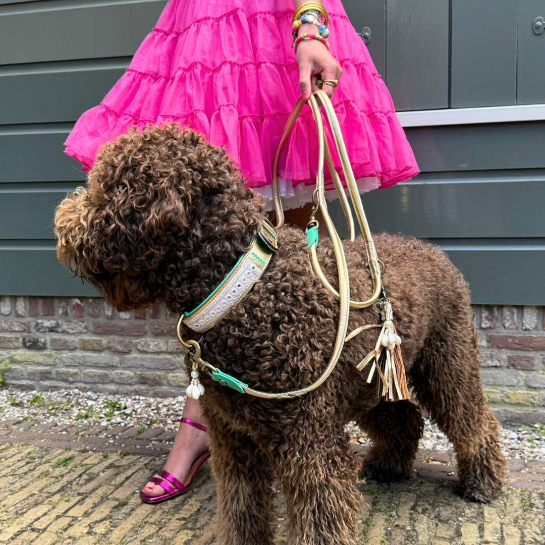 Love Story Hundehalsband L (Halsumfang 38-47 cm / 2,5 cm)