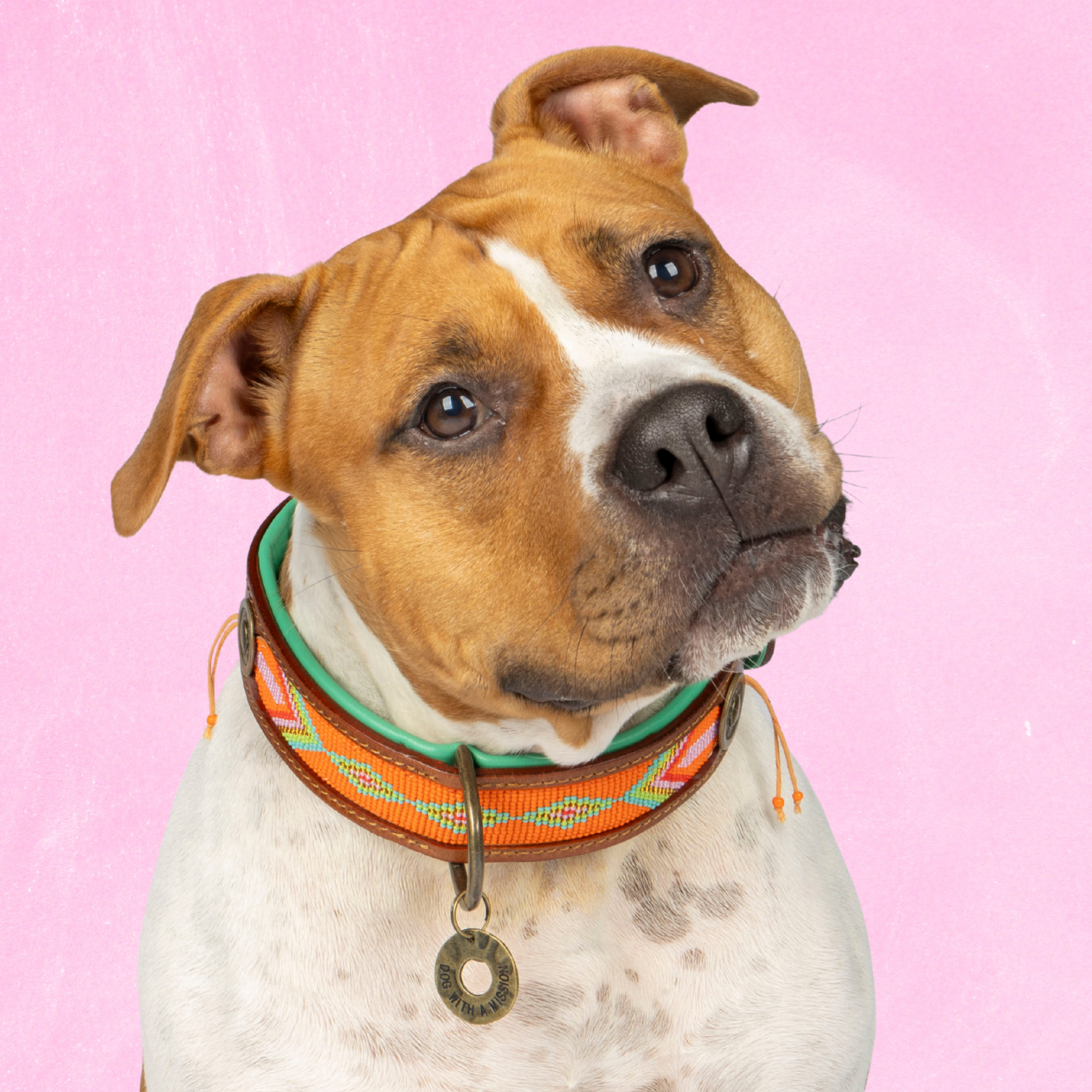 Beads Tiger Lily Dog Collar XL (Neck Size 47-57 cm / 4 cm)