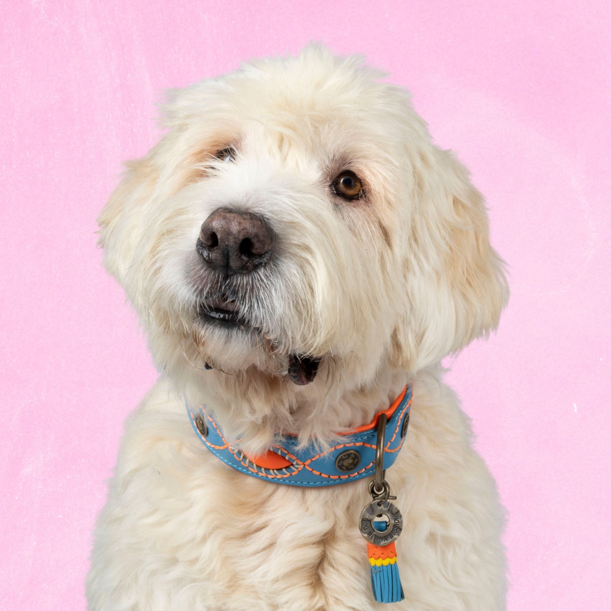 Leren hondenhalsband in blauw en oranje met bloemenprint en kwastje van Dog with a Mission