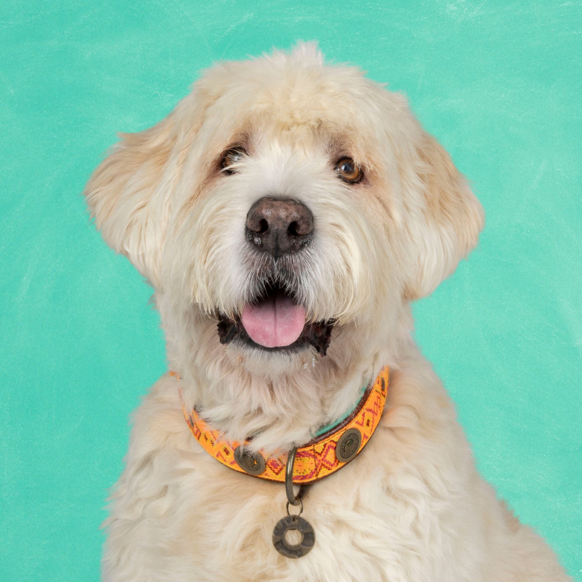 Leren hondenhalsband in oranje en turquoise met boho kralenpatroon van Dog with a Mission