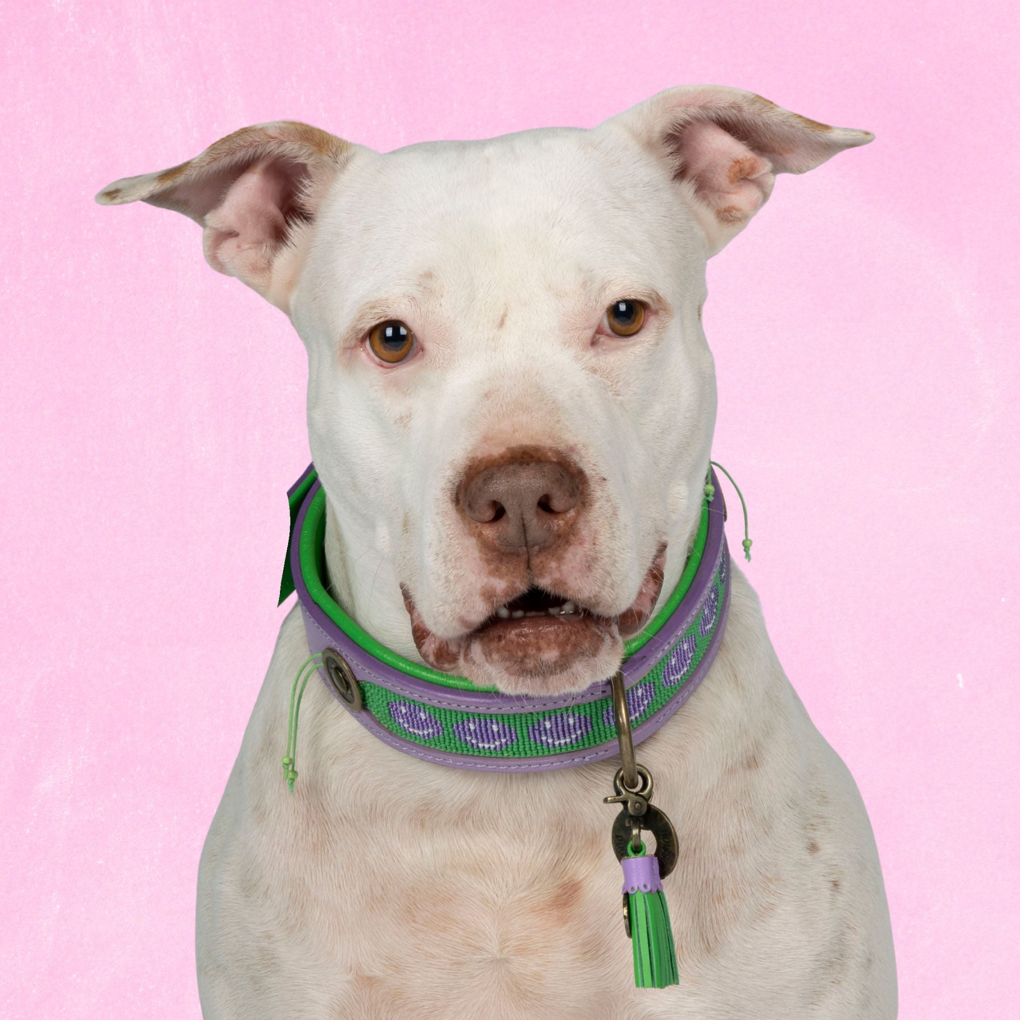 Leren hondenhalsband in paars en groen met smiley bedel van Dog with a Mission