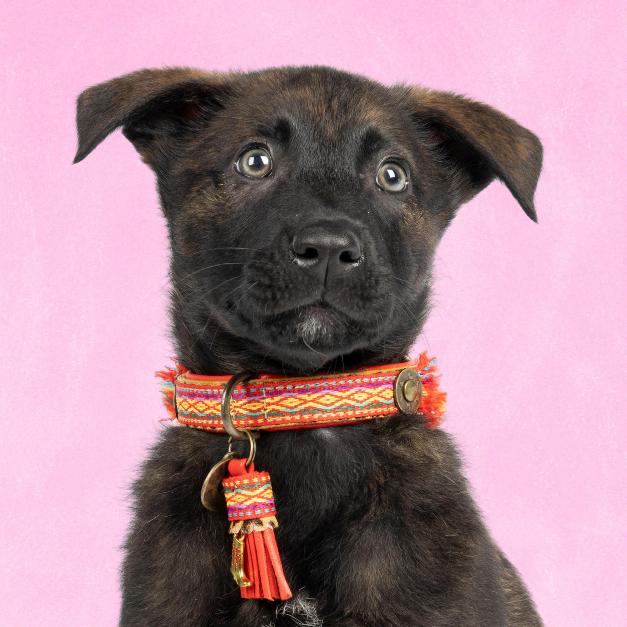 Rode leren hondenhalsband Gypsy XS - Dog with a Mission bohemian panterprint extra kleine honden