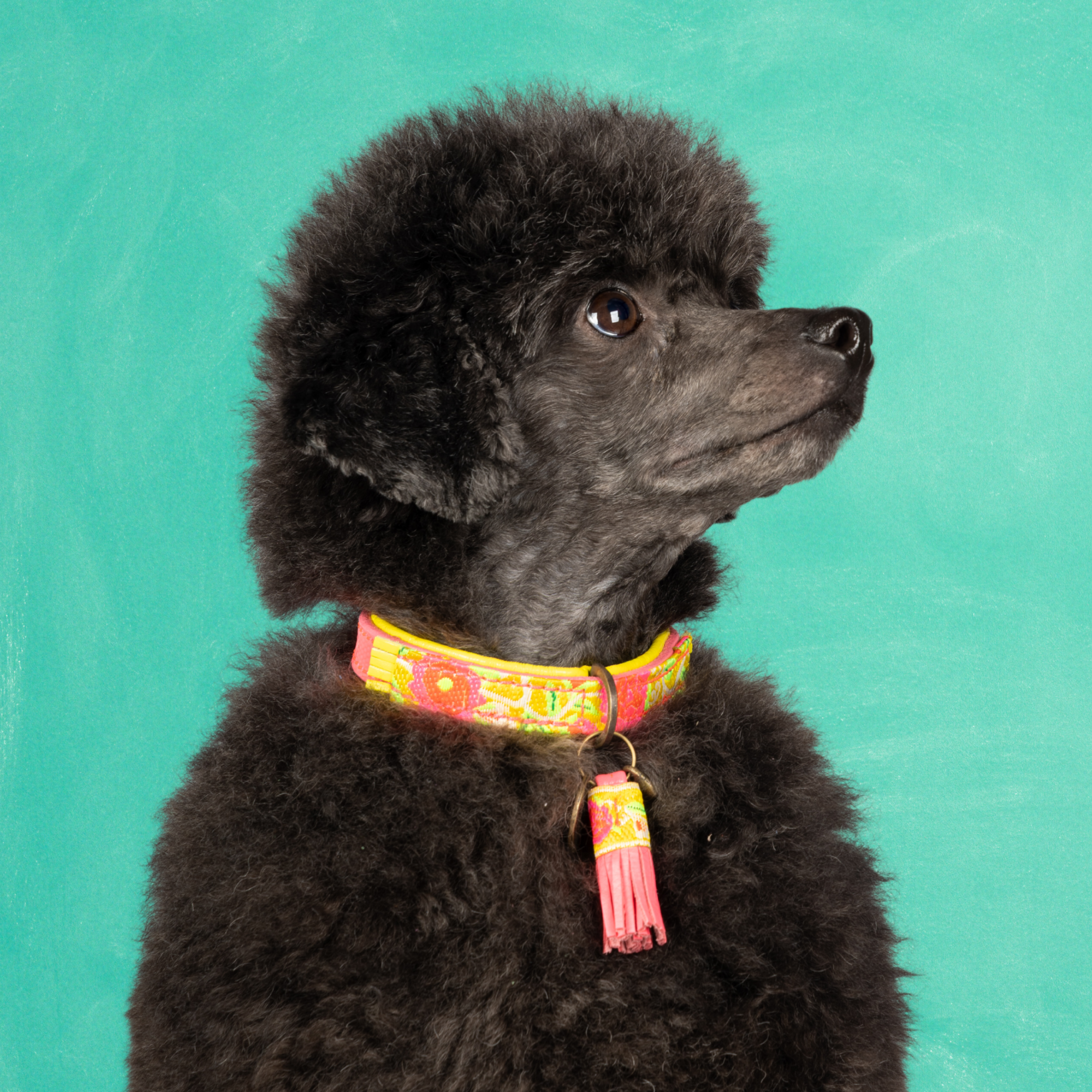 Leren hondenhalsband in roze met gele details en roze kwastje van Dog with a Mission