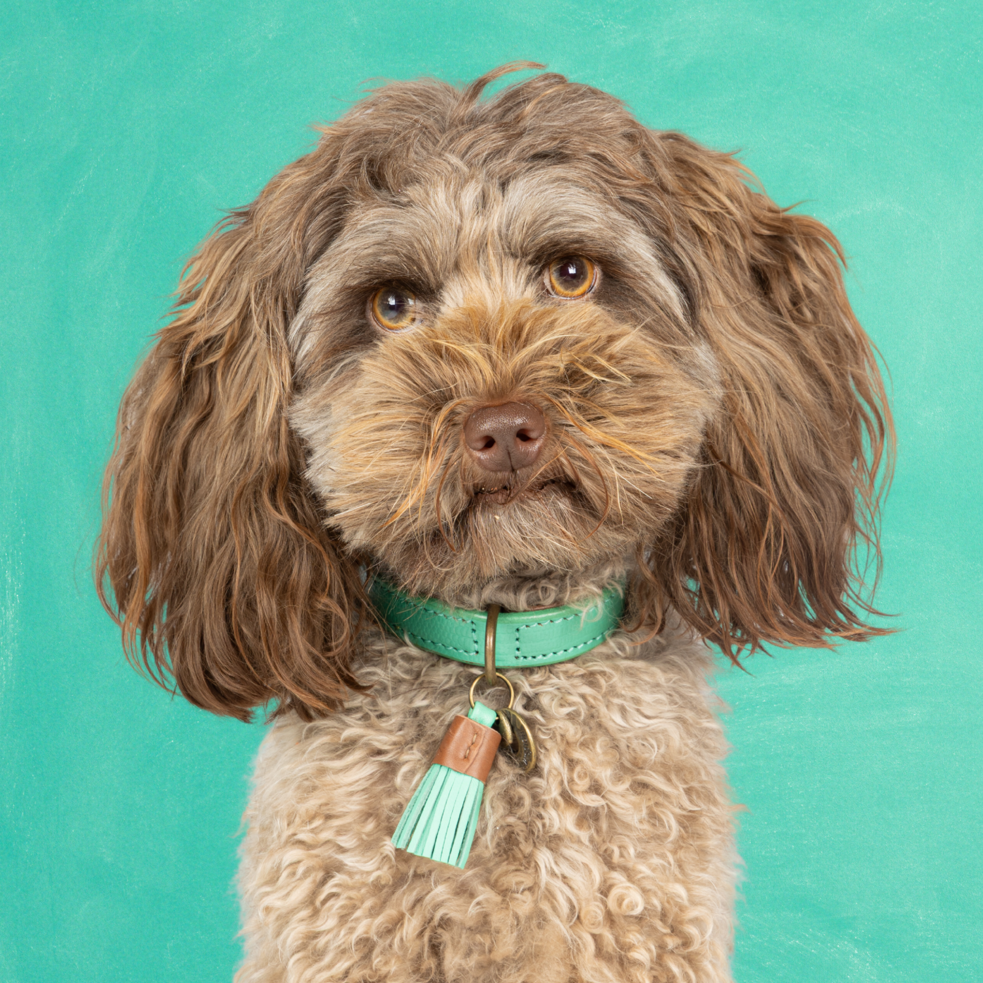 Leren hondenhalsband in turquoise met bloemdetail en turquoise kwastje van Dog with a Mission