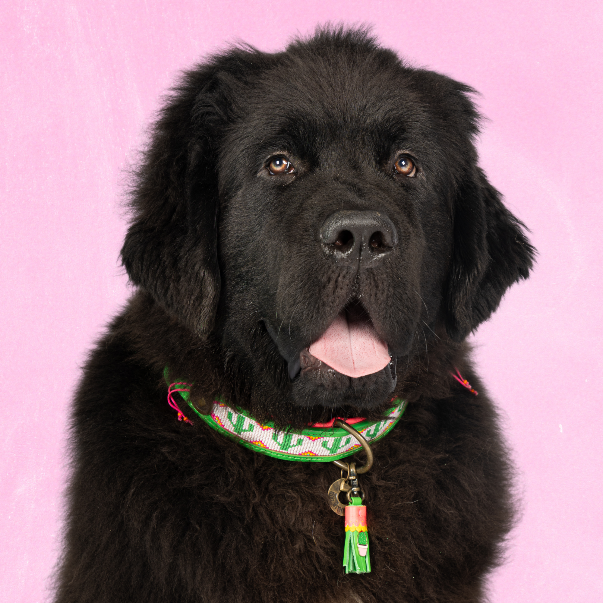 Leren hondenhalsband met kralen in groen en roze en groen kwastje van Dog with a Mission