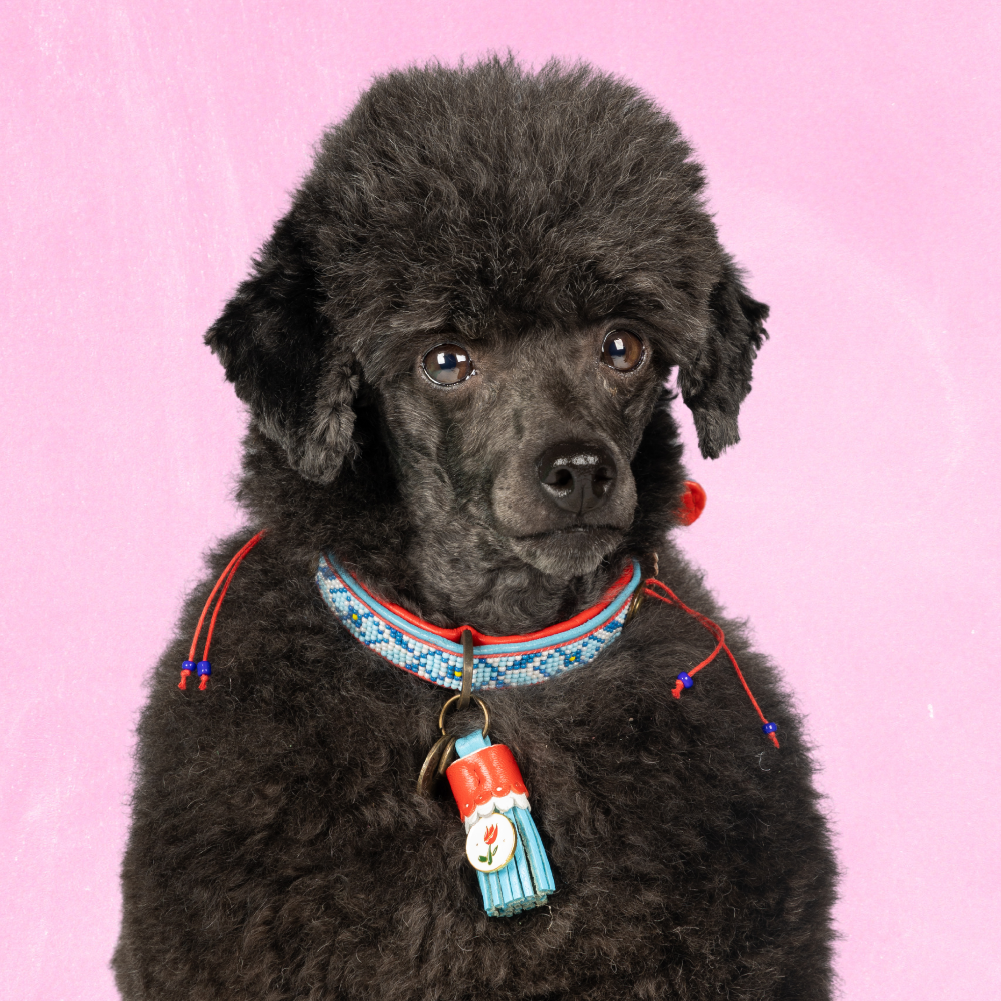 Leren hondenhalsband met kralen in blauw met rode details en blauw kwastje van Dog with a Mission