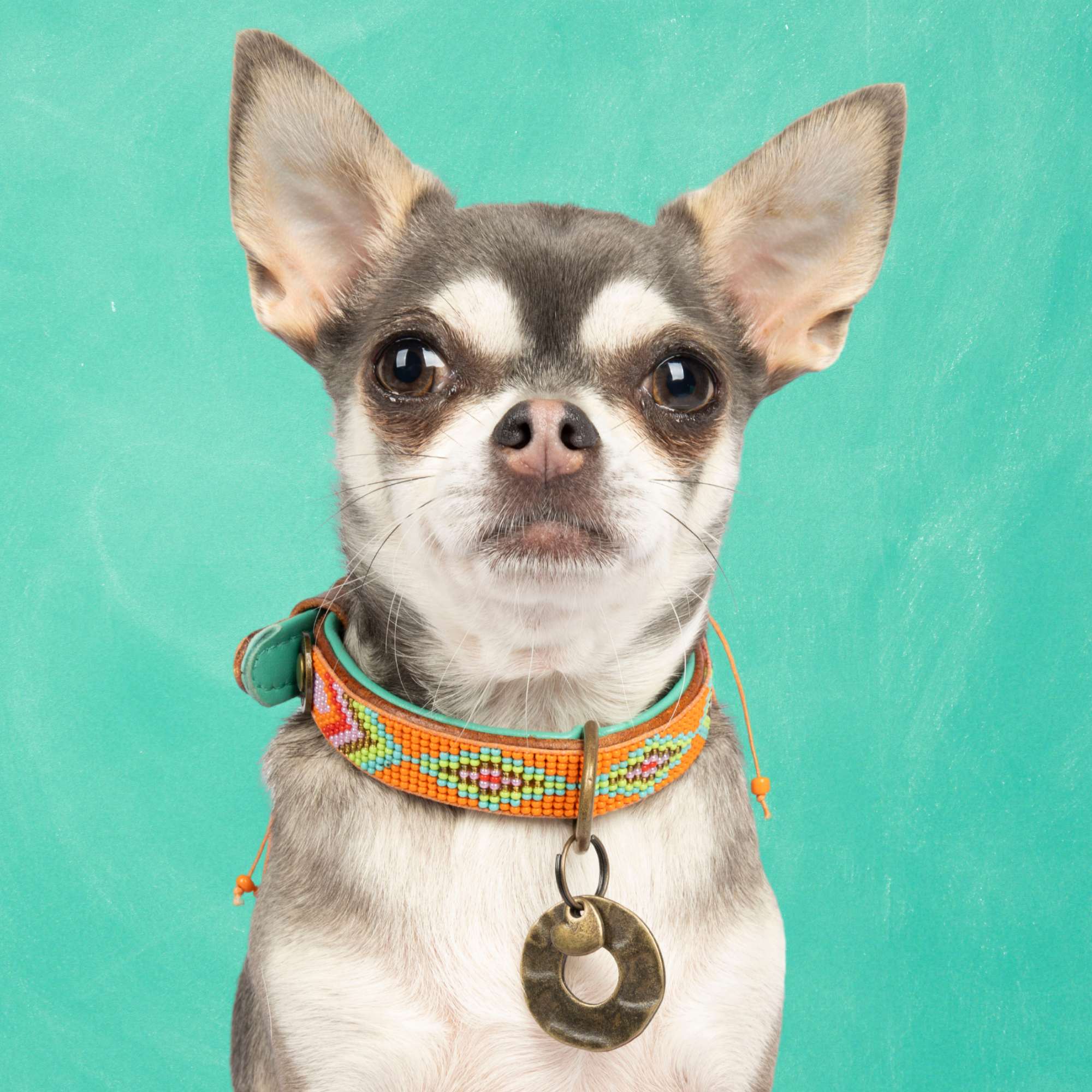 Beads Tiger Lily Hondenhalsband XXS (Halsomvang 19-24 cm / 2 cm)