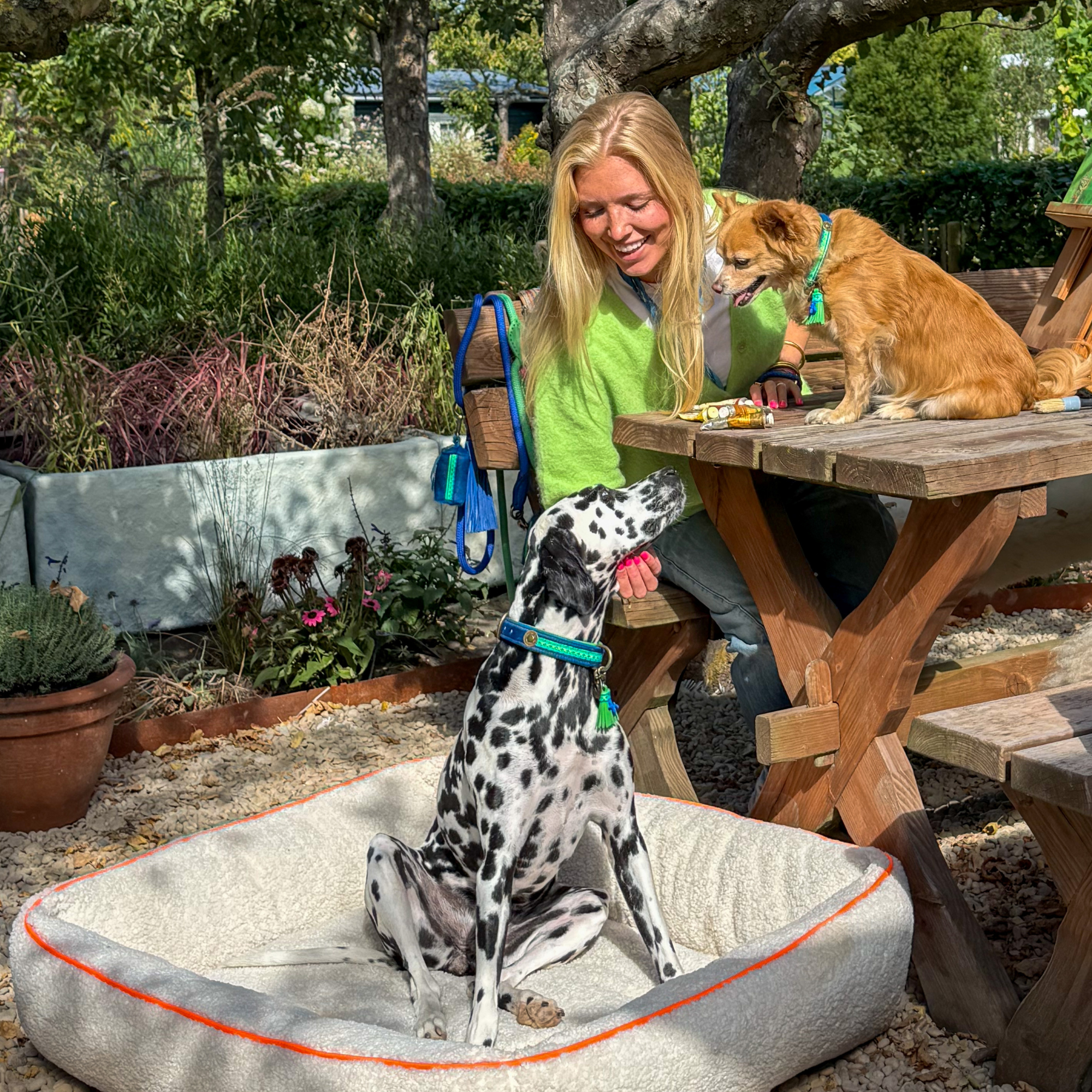 Zula hondenhalsband en poepzakjeshouder in kobaltblauwe vacht met neongroene bohemian band en Atlantic riem – DWAM Dog with a Mission