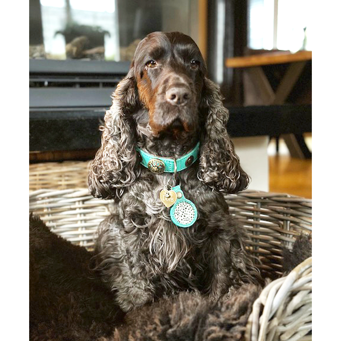 Airtag_hoesje_turquoise_nette_pet_instagram_1100x1100px