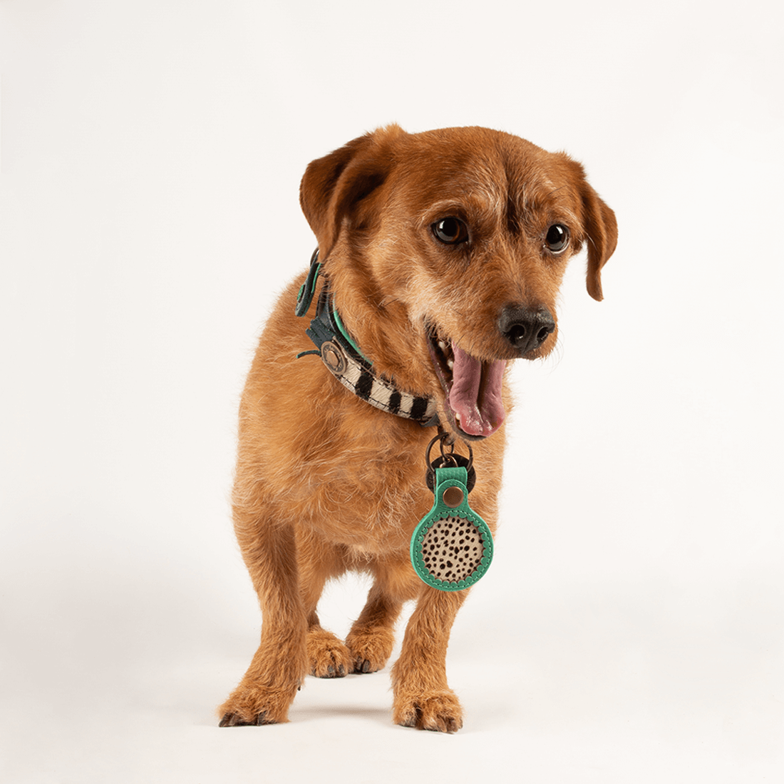 AIRTAG_HOLDER_SKY_DWAM_DOGWITHAMISSION_1100x1100px 2