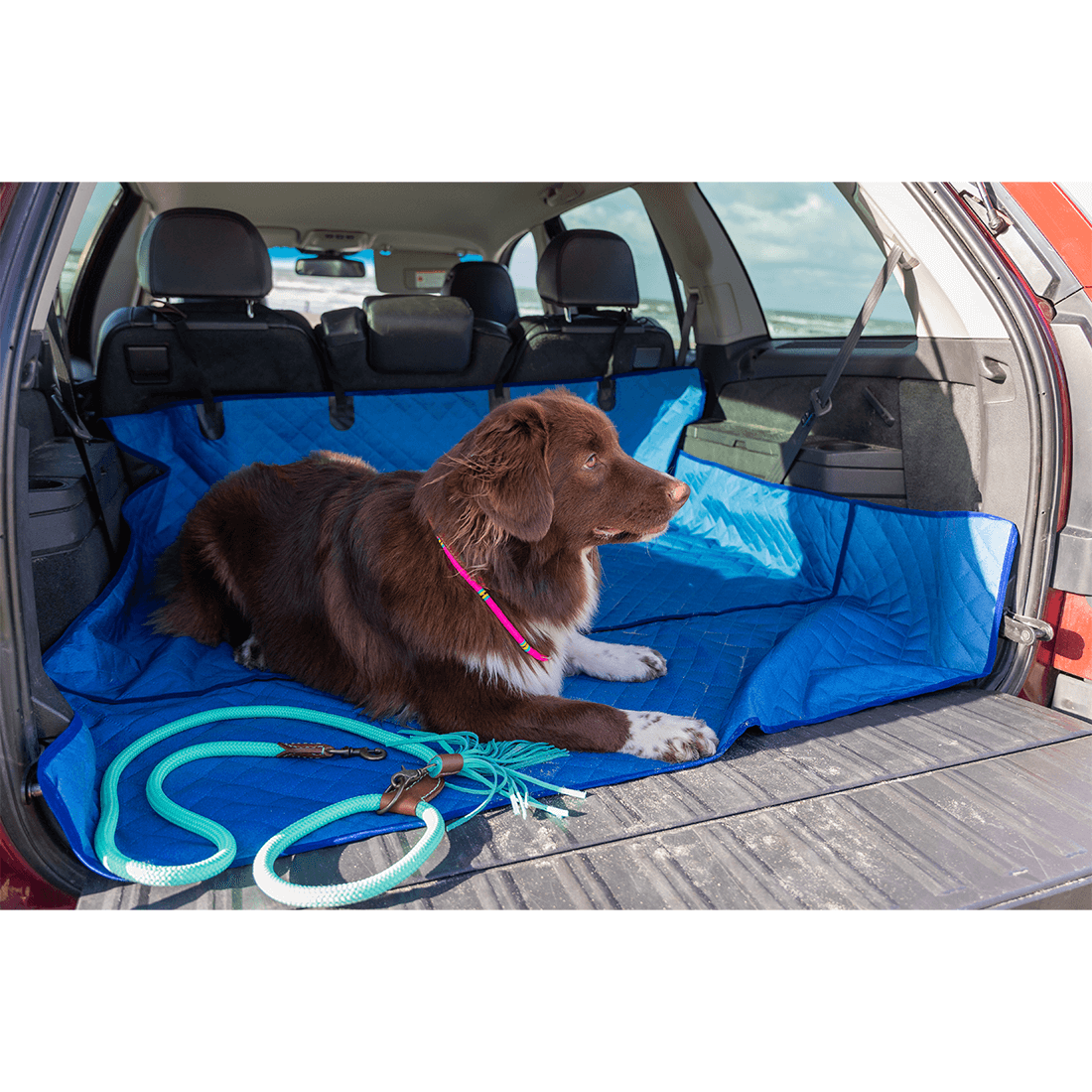 AUTOKLEED_LOS_AMIGOS_LIFESTYLE4_DWAM_DOGWITHAMISSION_1100x1100px