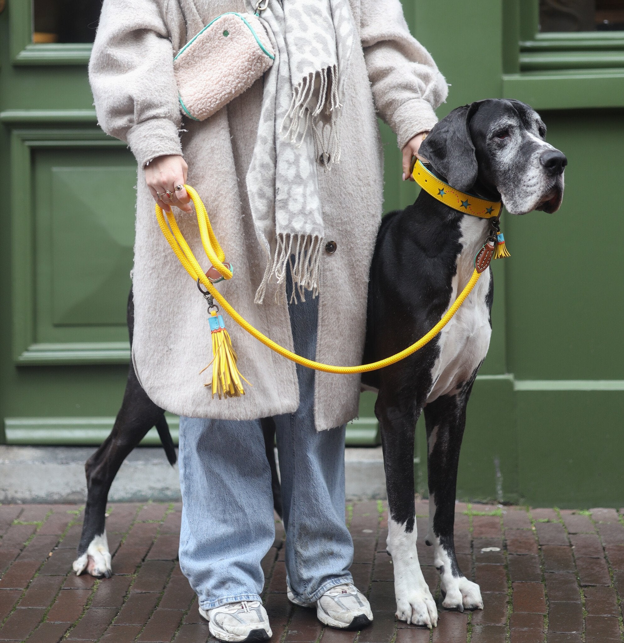 Blue Star - Sunny_gele hondenriem