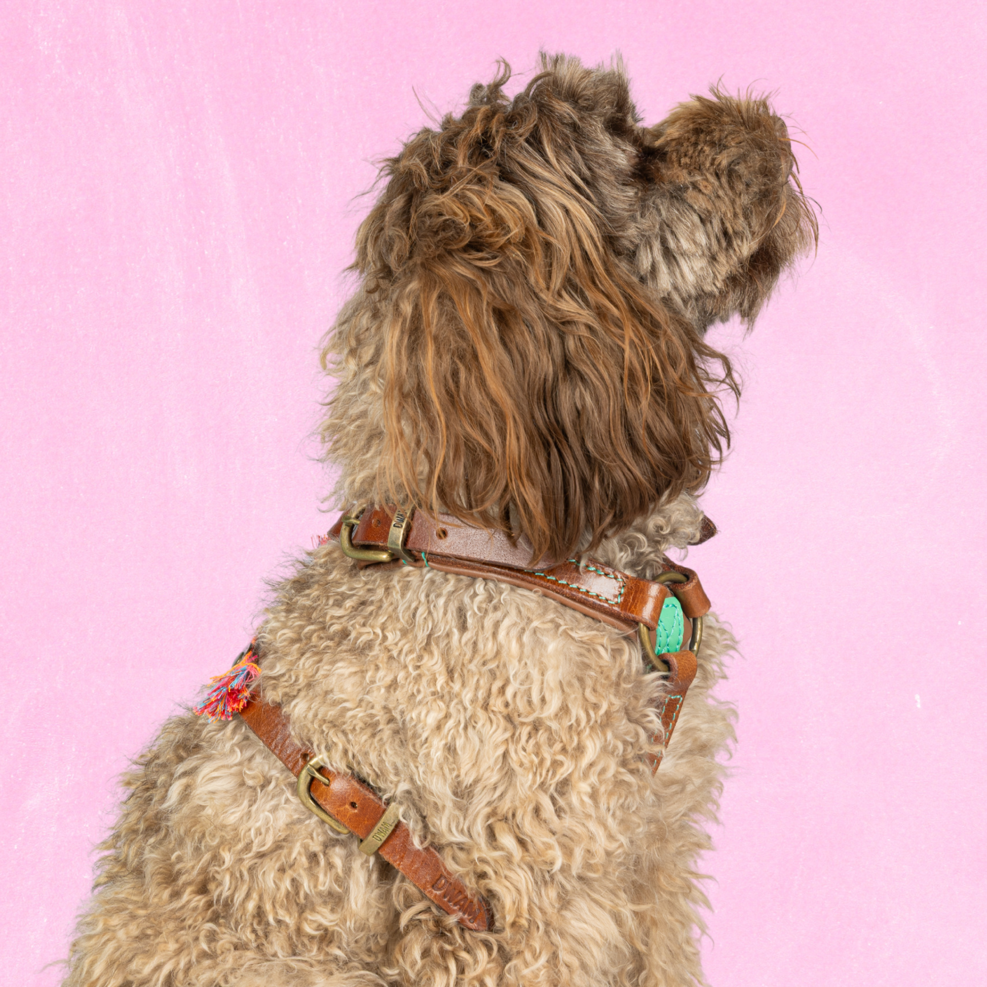 Boho Rosa Hundegeschirr Xs (45-52 cm)