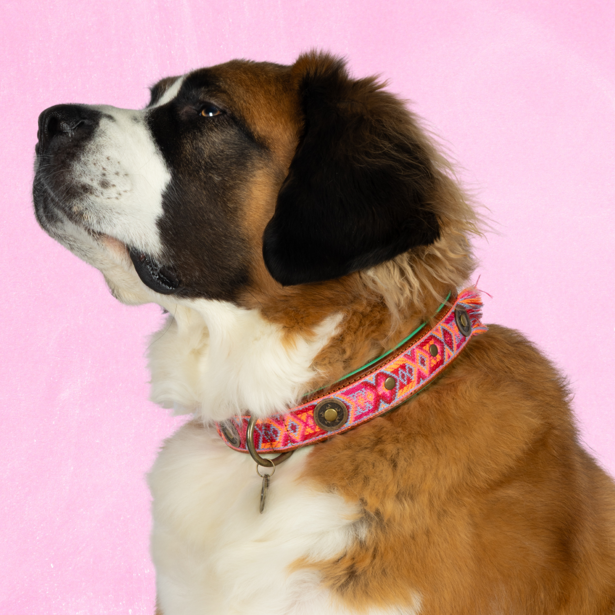 Boho Rosa Hondenhalsband XXL (Halsomvang 55-65 cm / 4 cm)