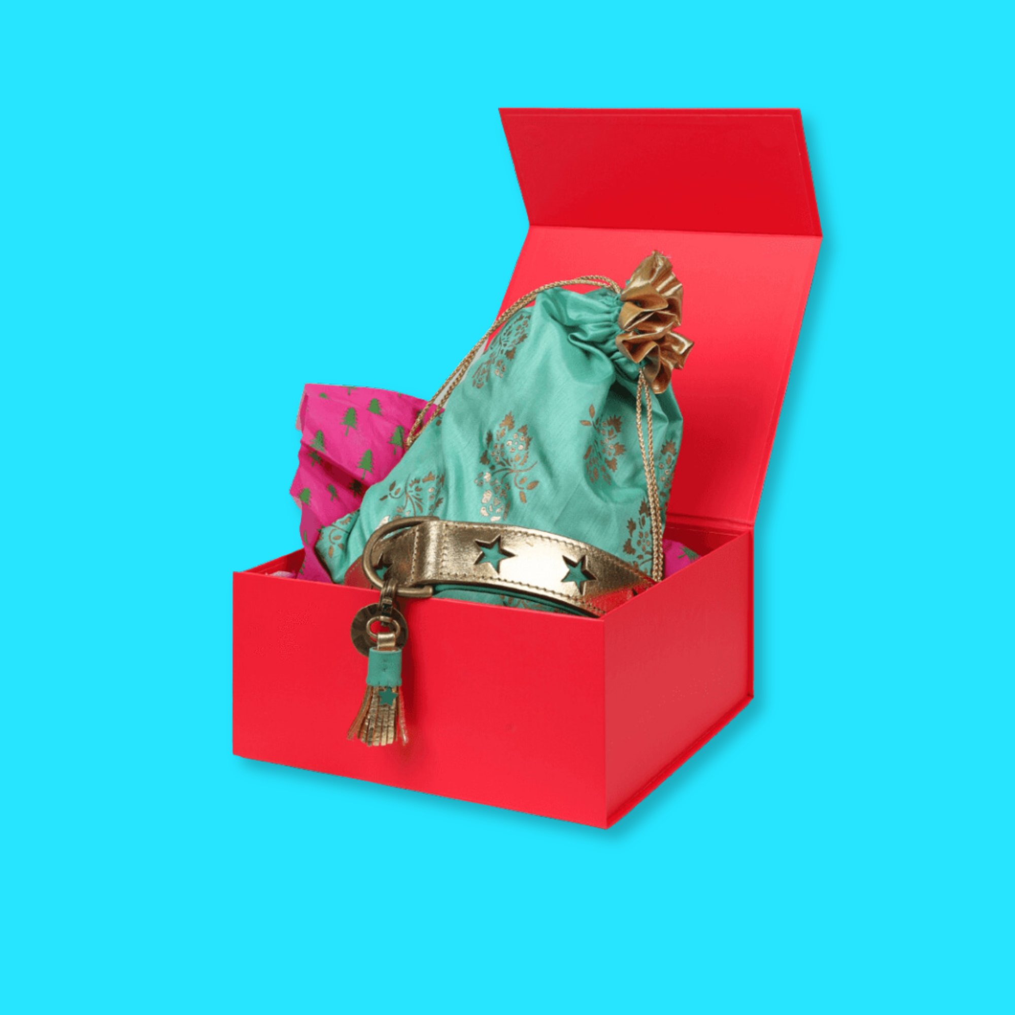 Cadeaudoos_DWAM_Dog with a Mission (2)