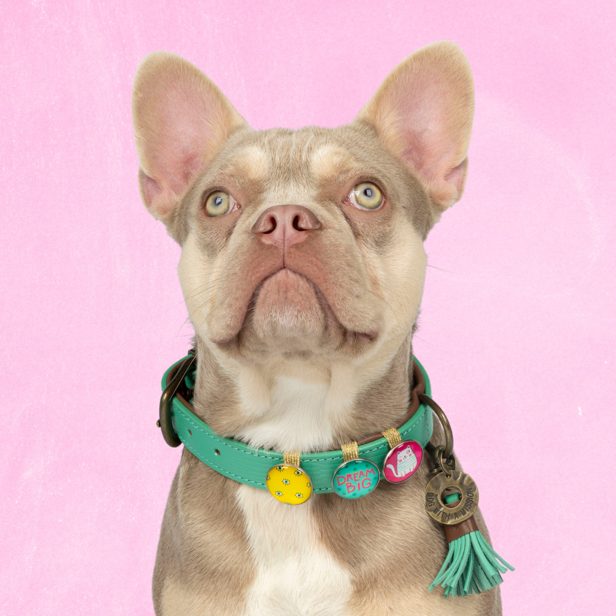 California Dreaming Hondenhalsband M ( Halsomvang 32-39 cm / 2,5 cm)