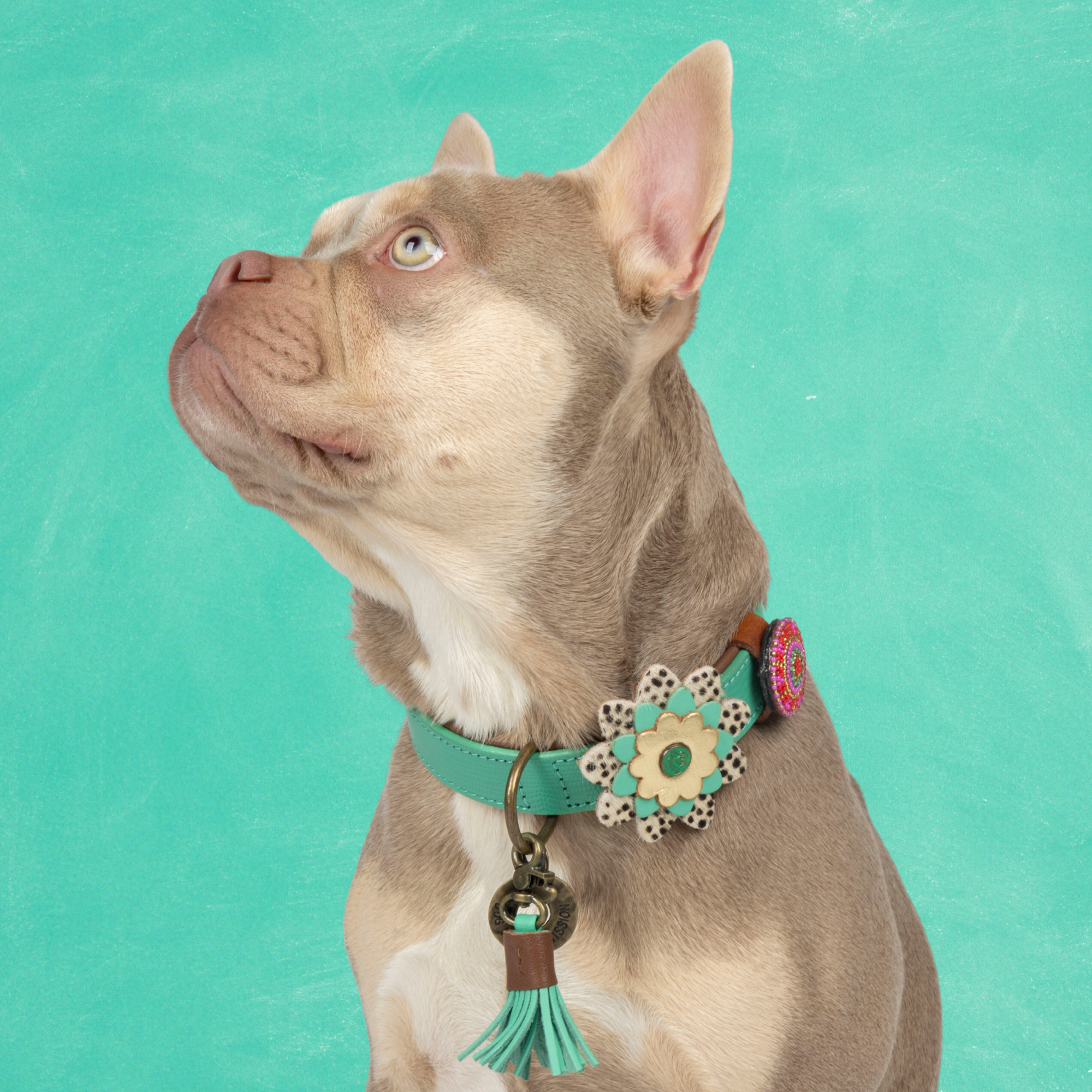 California Dreaming Hundehalsband M ( Halsumfang 32-39 cm / 2,5 cm)