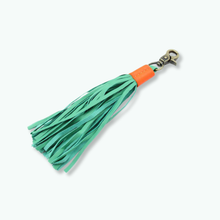 Carrot Cake Charm Hondenriem