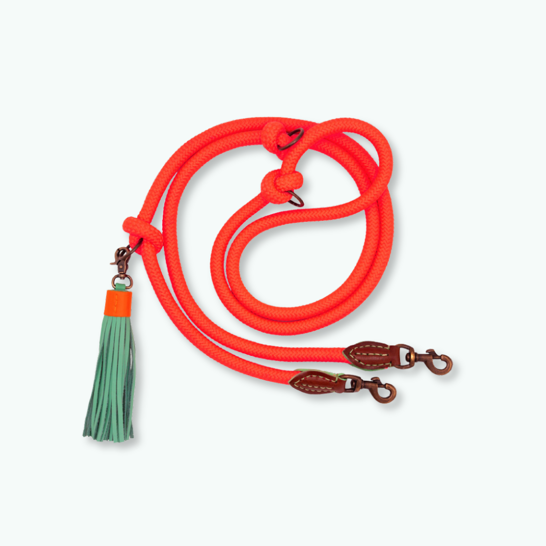 Carrot Cake Hondenriem Extra Lang