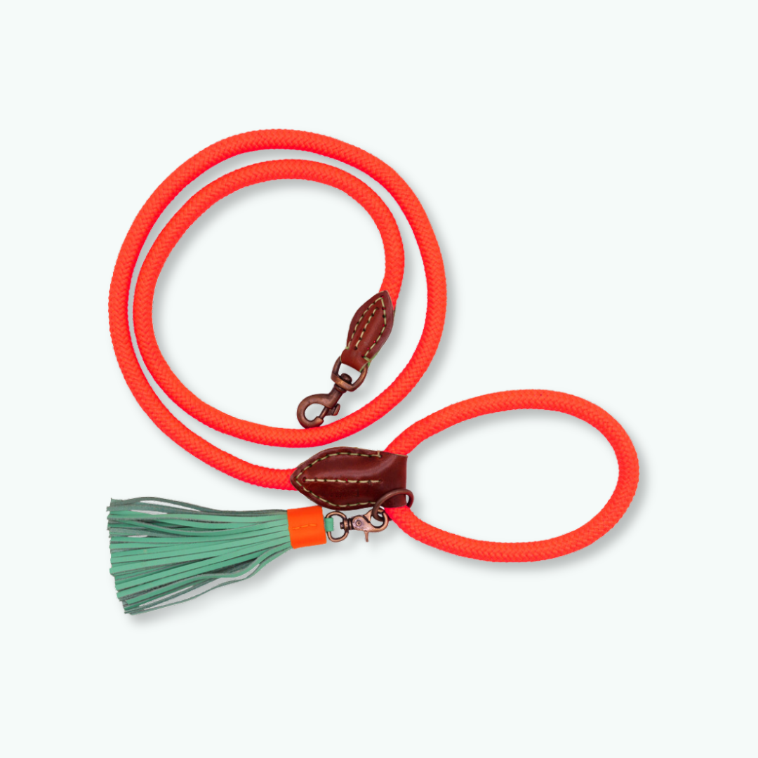 Carrot Cake Hondenriem