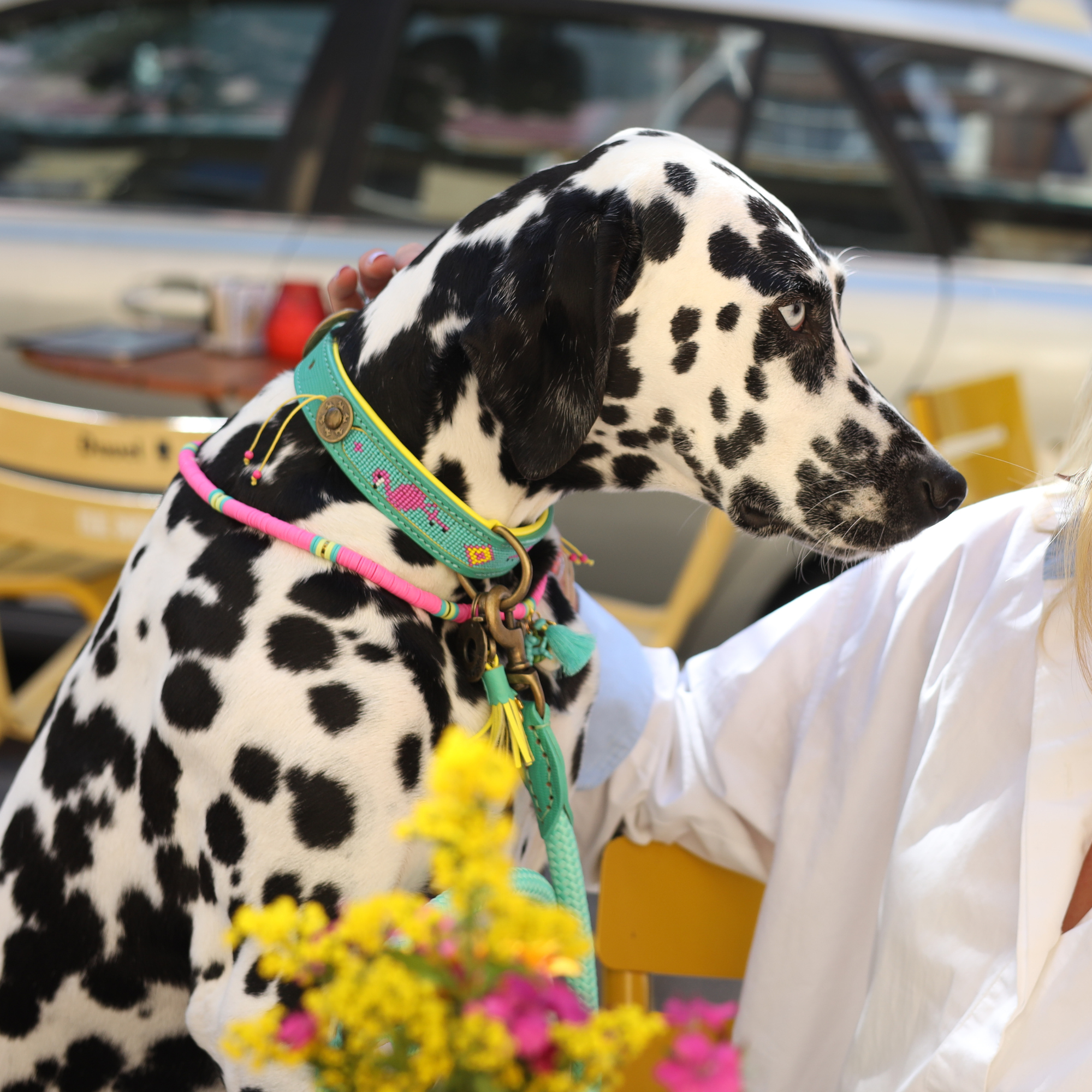 Turquoise leren hondenhalsband met gele kwastjes - DWAM Dog with a Mission Chogogo