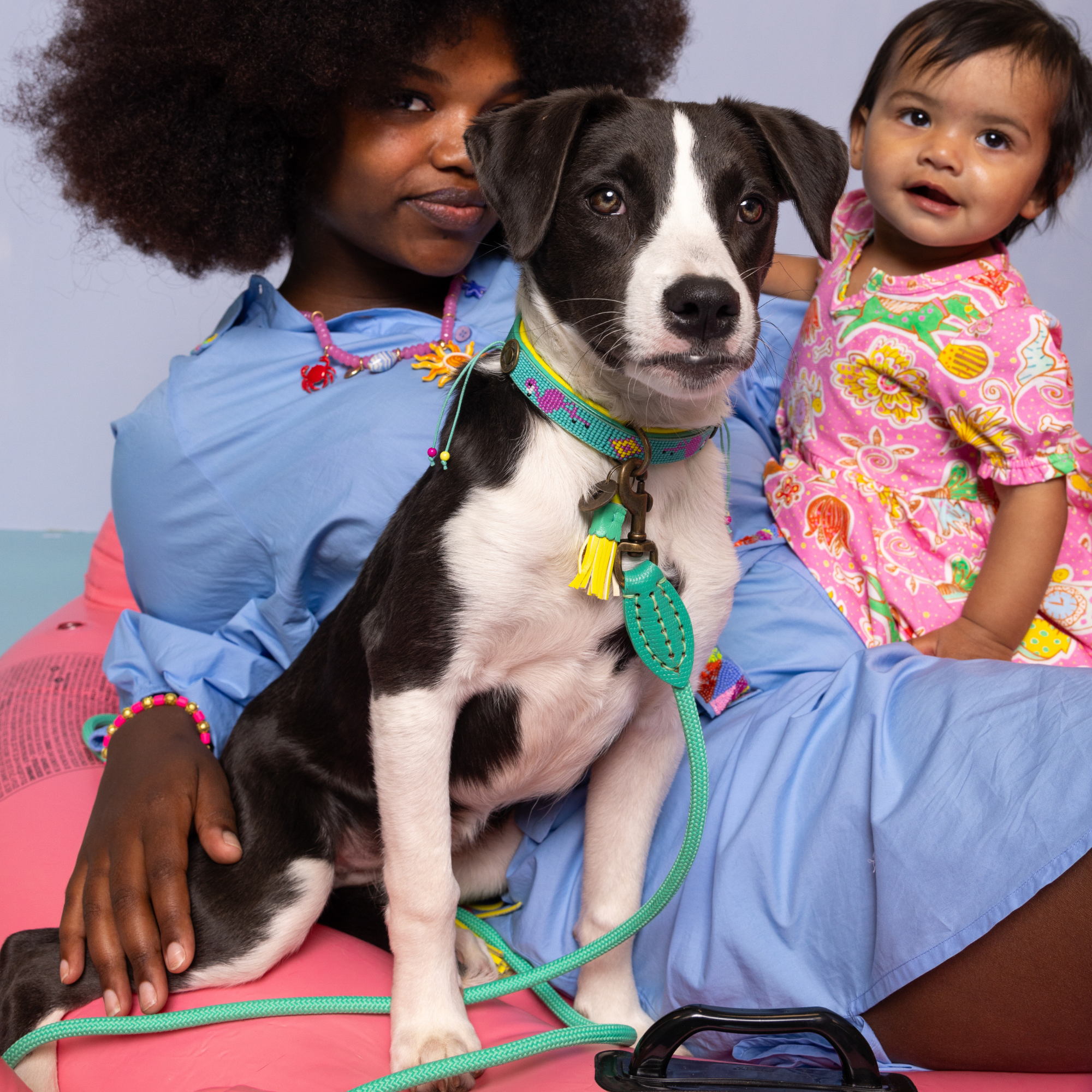 Gekleurde hondenhalsband Chogogo S op kleine hond - Dog with a Mission DWAM tropical flamingo