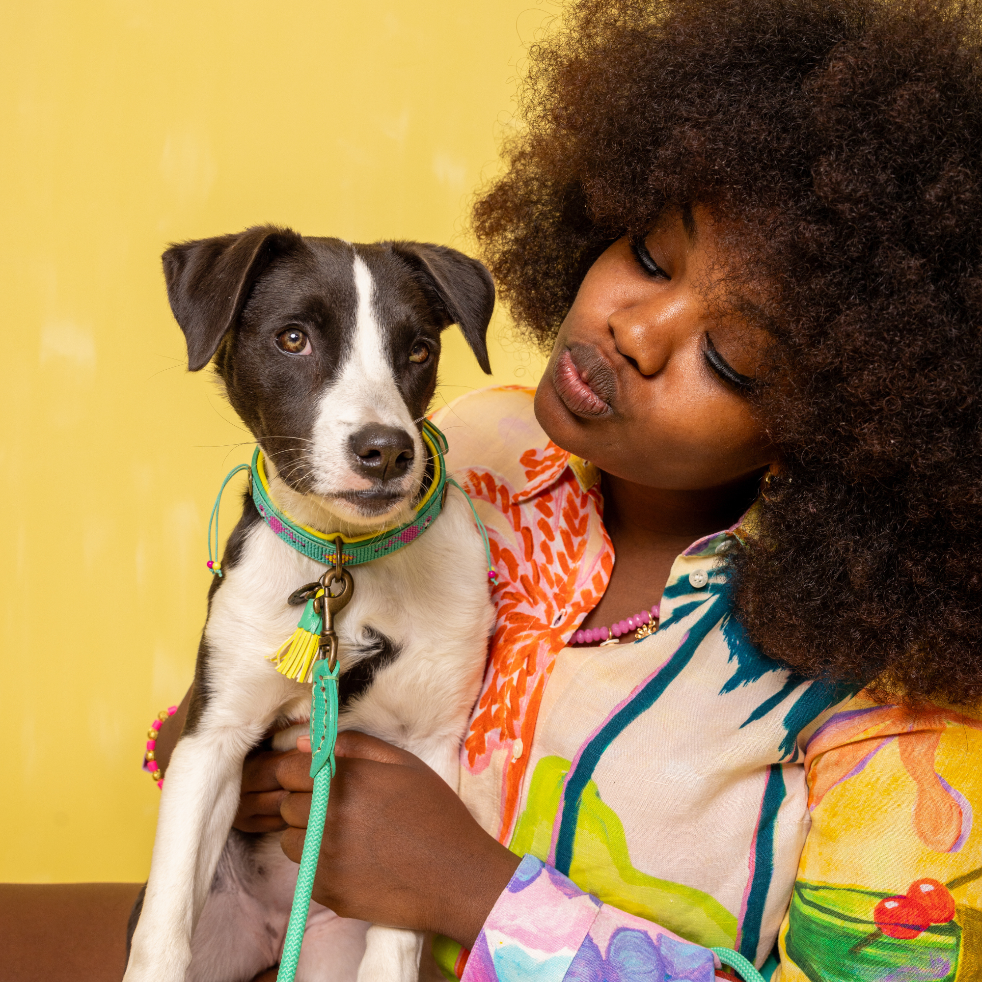 Gekleurde hondenhalsband Chogogo XS op extra kleine hond - Dog with a Mission DWAM tropical flamingo