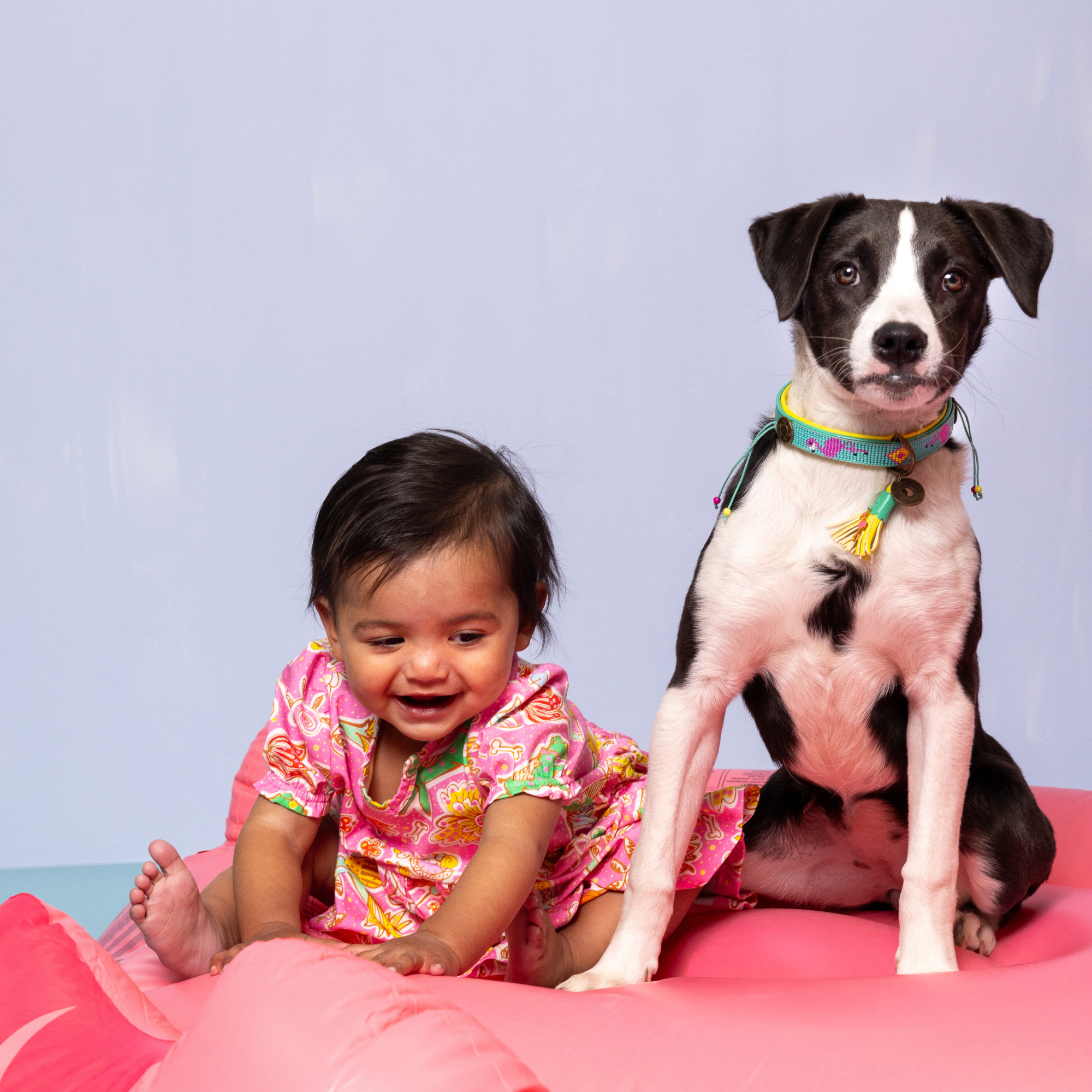 Flamingo kleuren hondenhalsband Chogogo S - Dog with a Mission tropical kralenpatroon DWAM