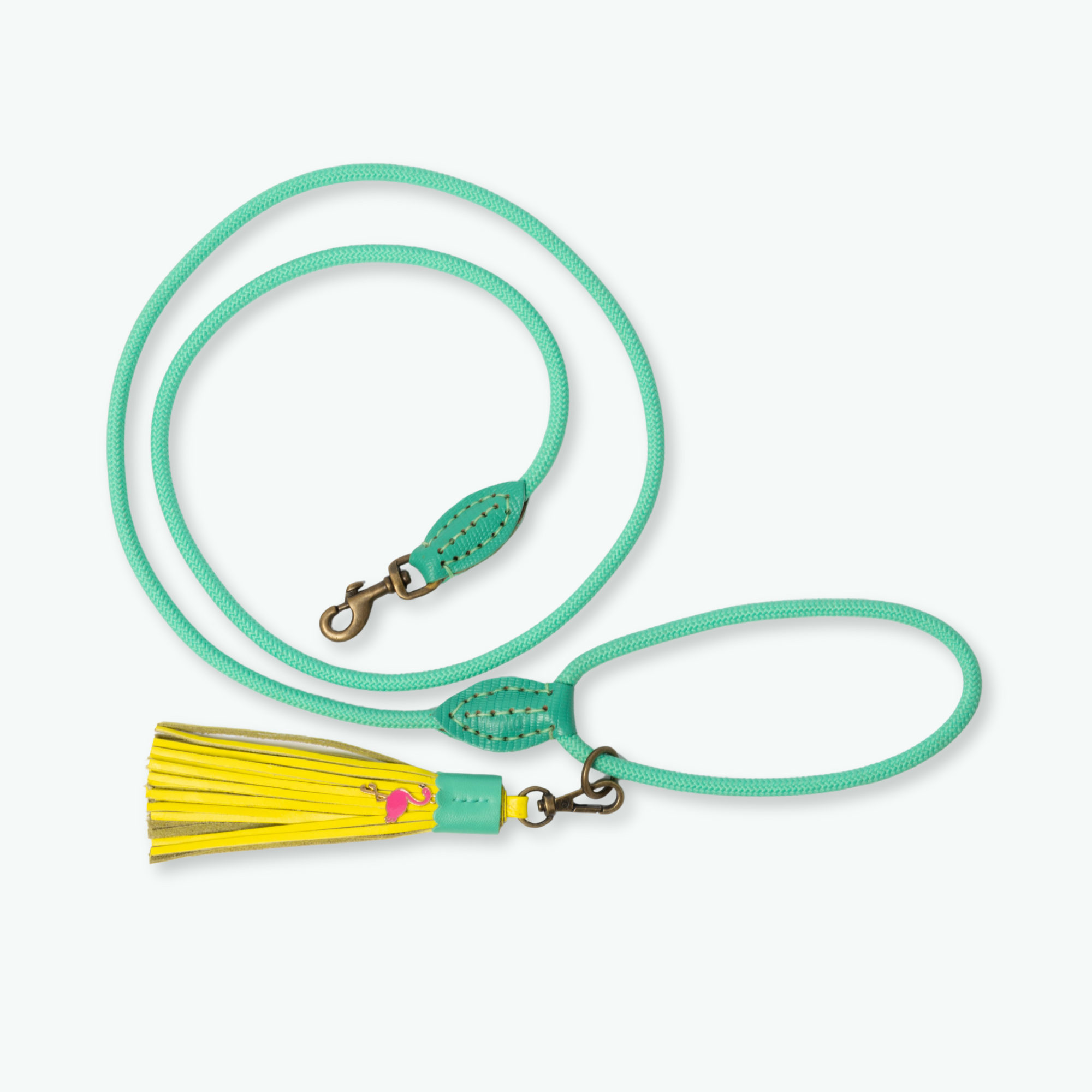 Chogogo_hondenriem_S_dog with a mission-DWAM